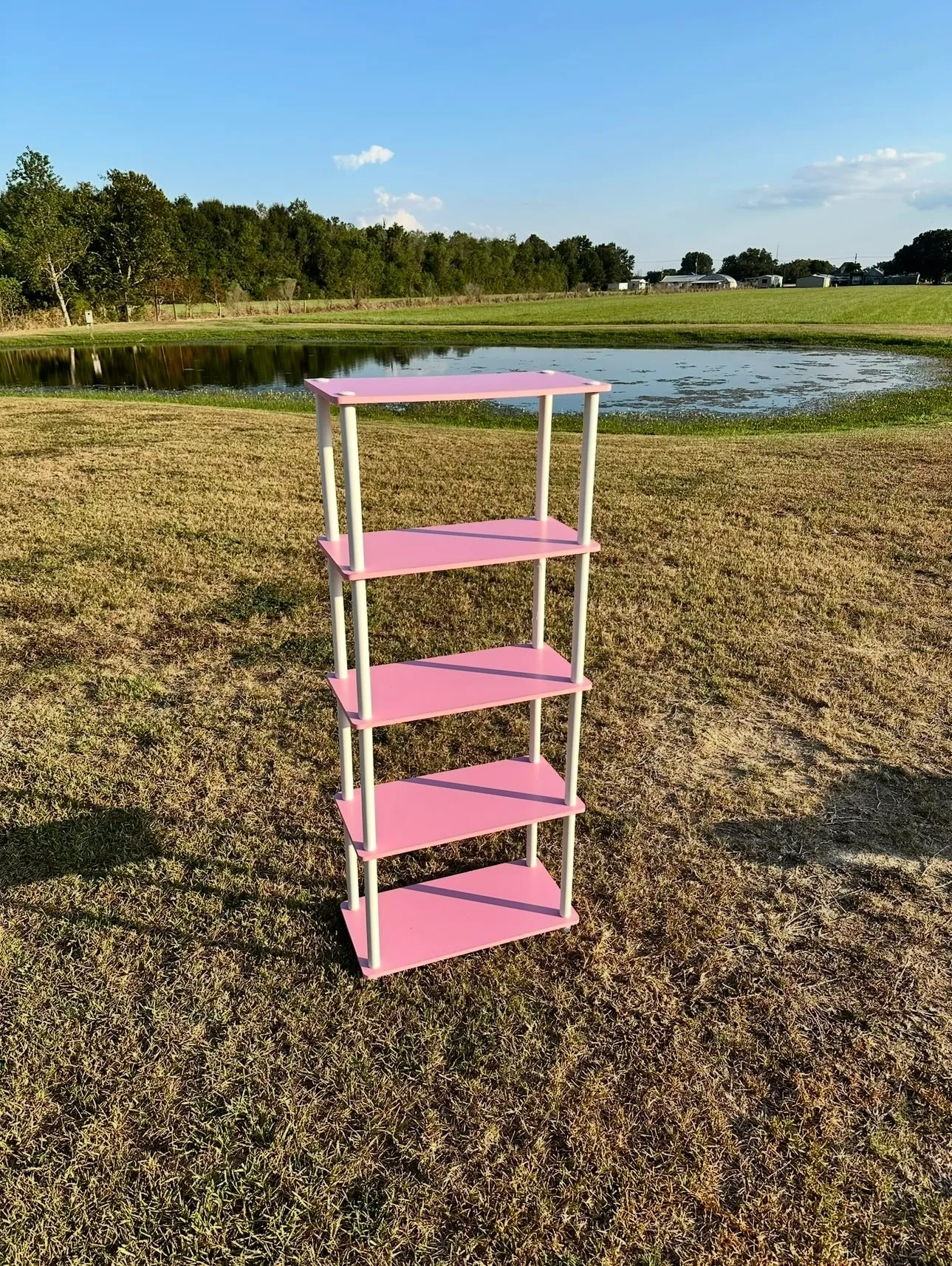 Pink Shelf