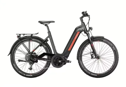 All Terrain eBike
