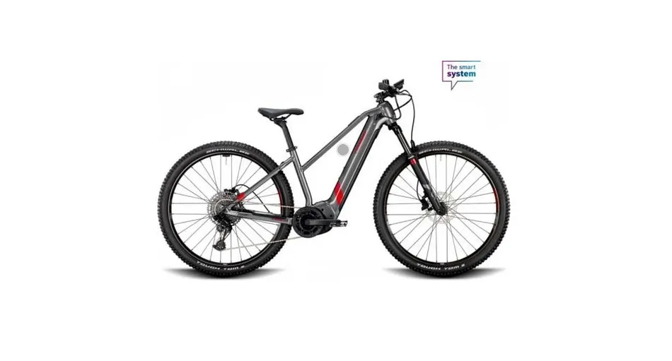 E-MTB 29"