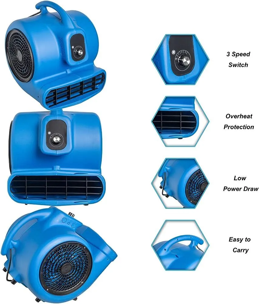 Carpet Blower