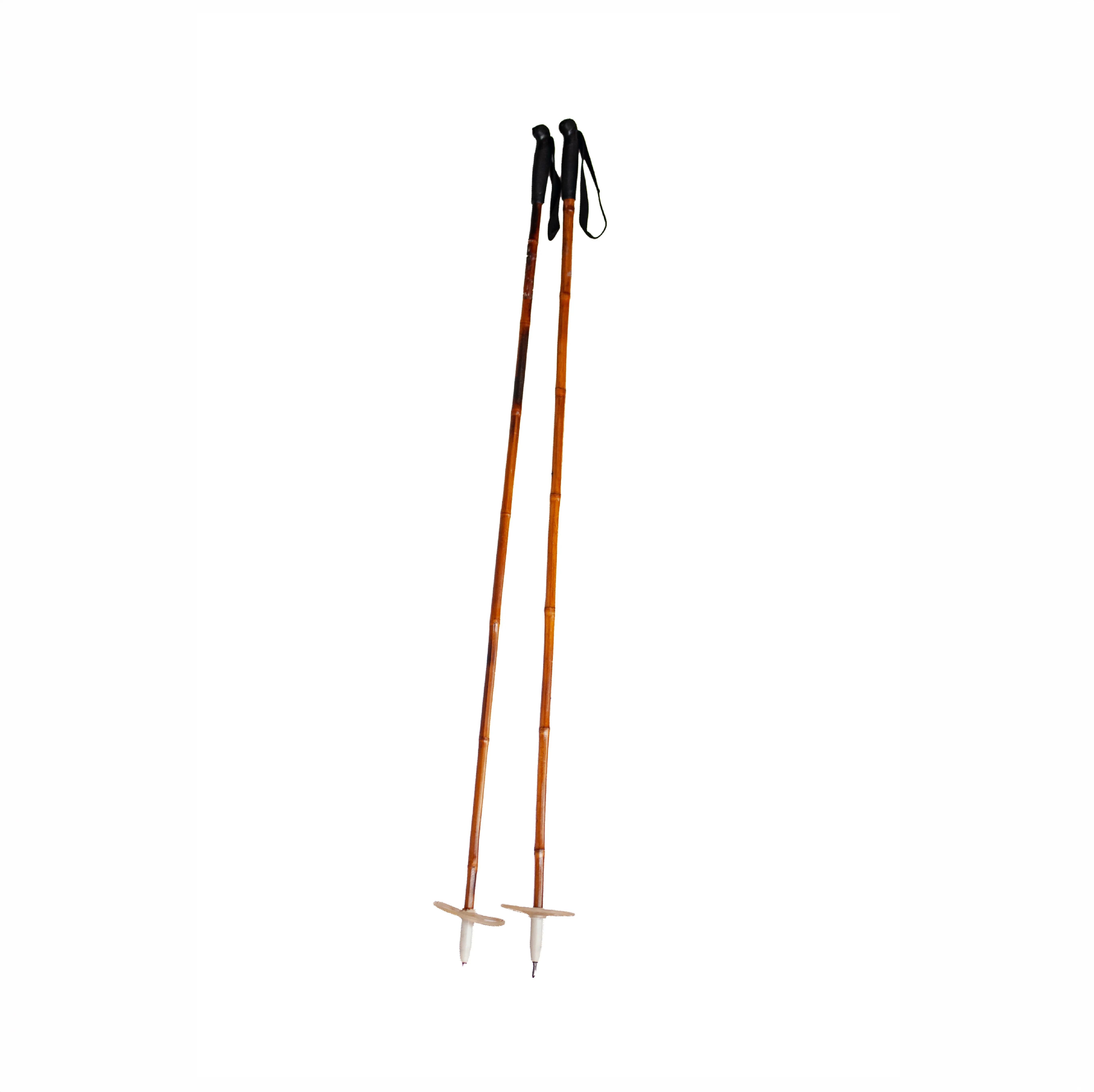 Ski Poles