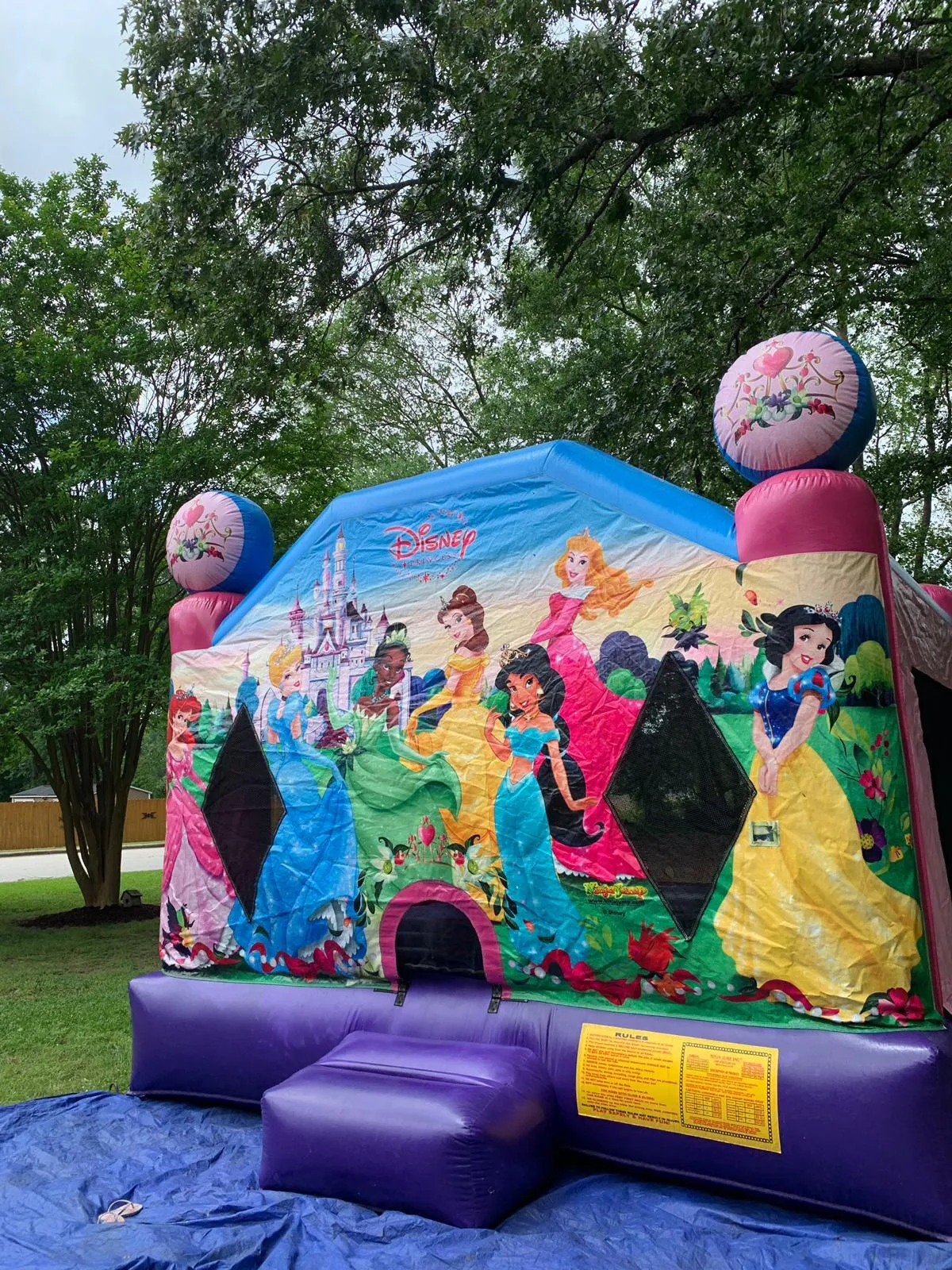 Disney Princess Bounce