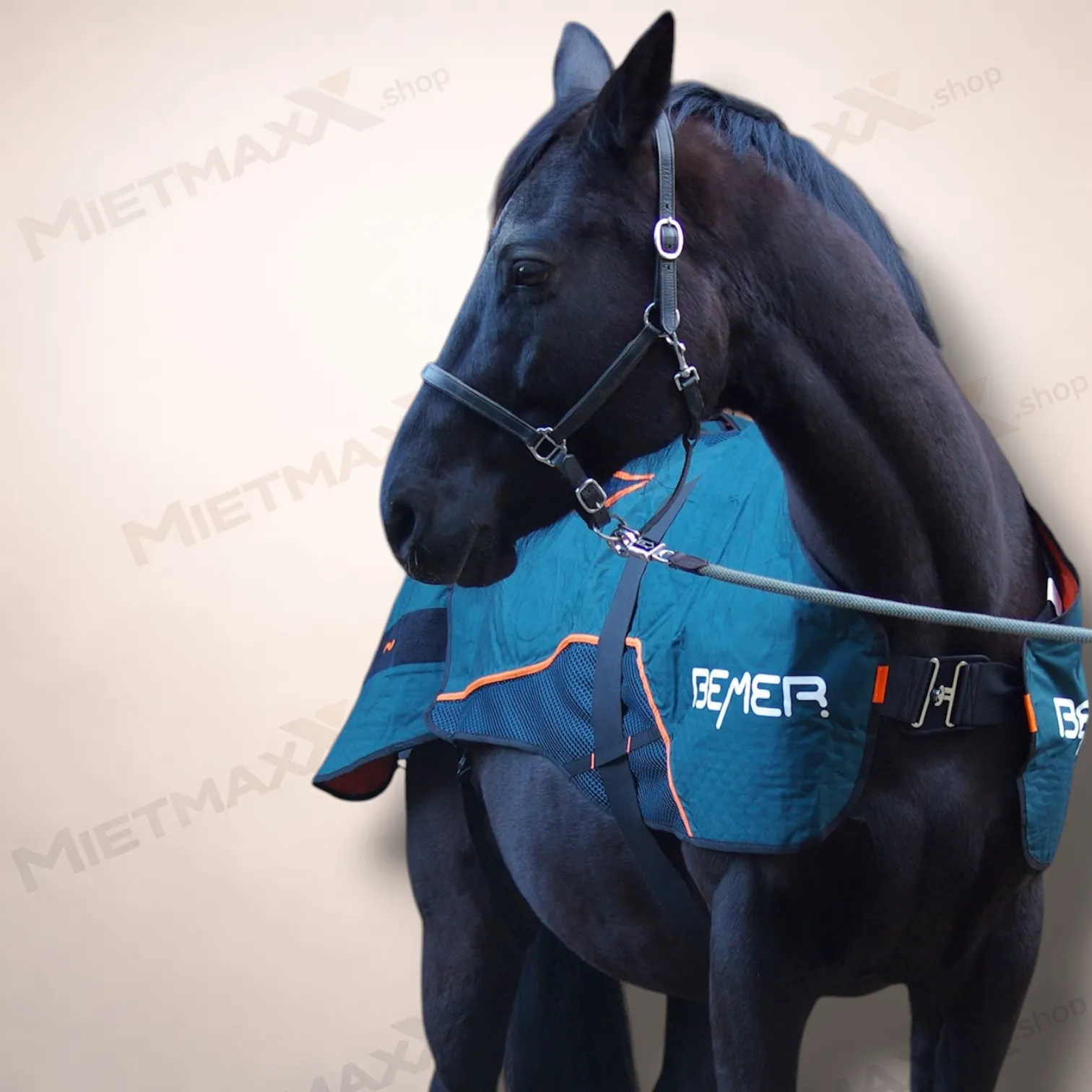 [PRE-OWNED] BEMER Decke