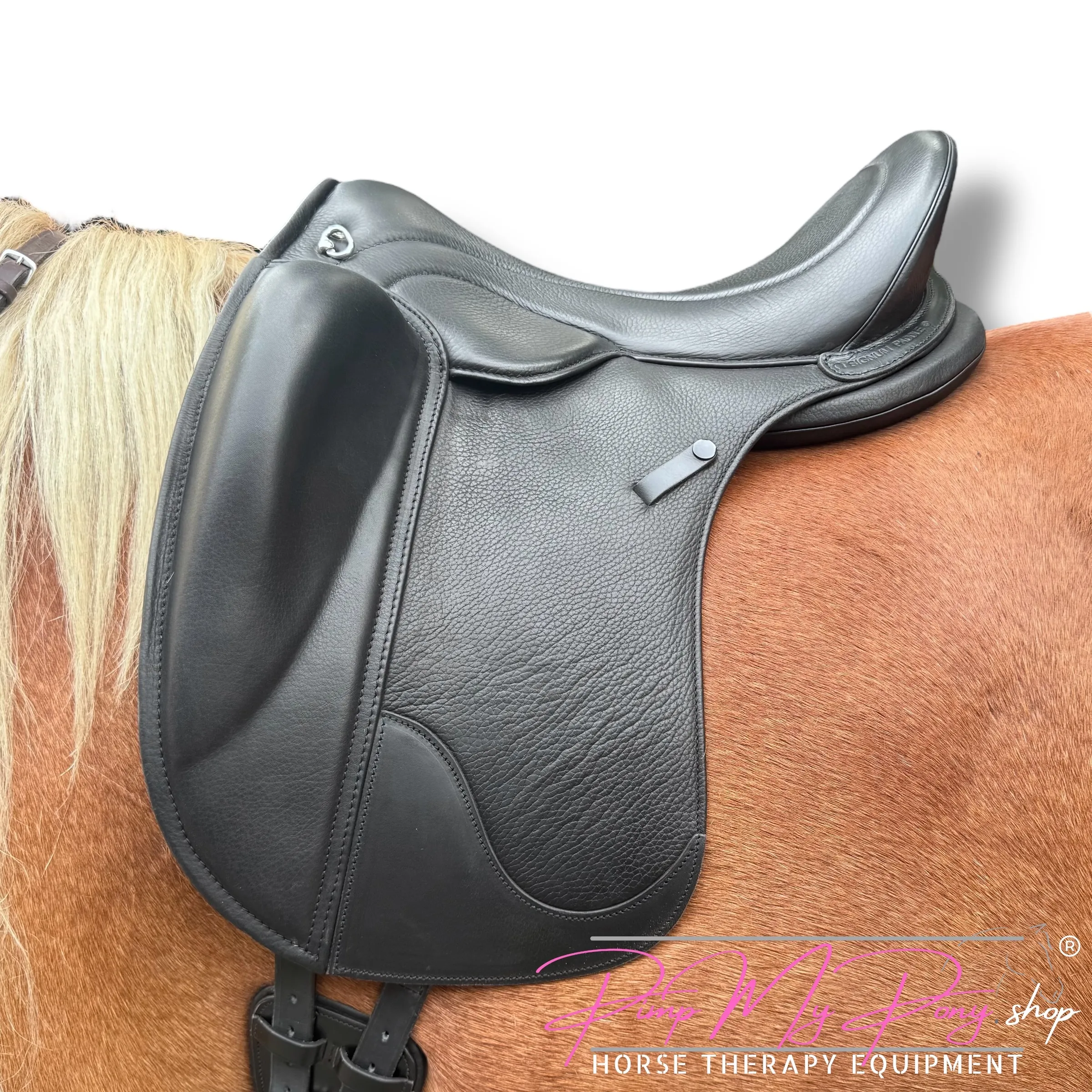 SIGNUM Dressur Paddle (S-L)