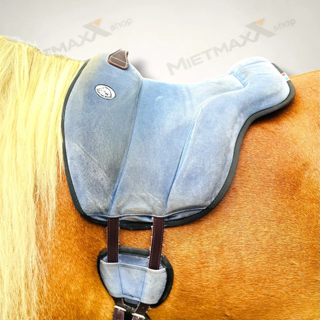 [MIETE] Brockamp Reitpad Spezial
