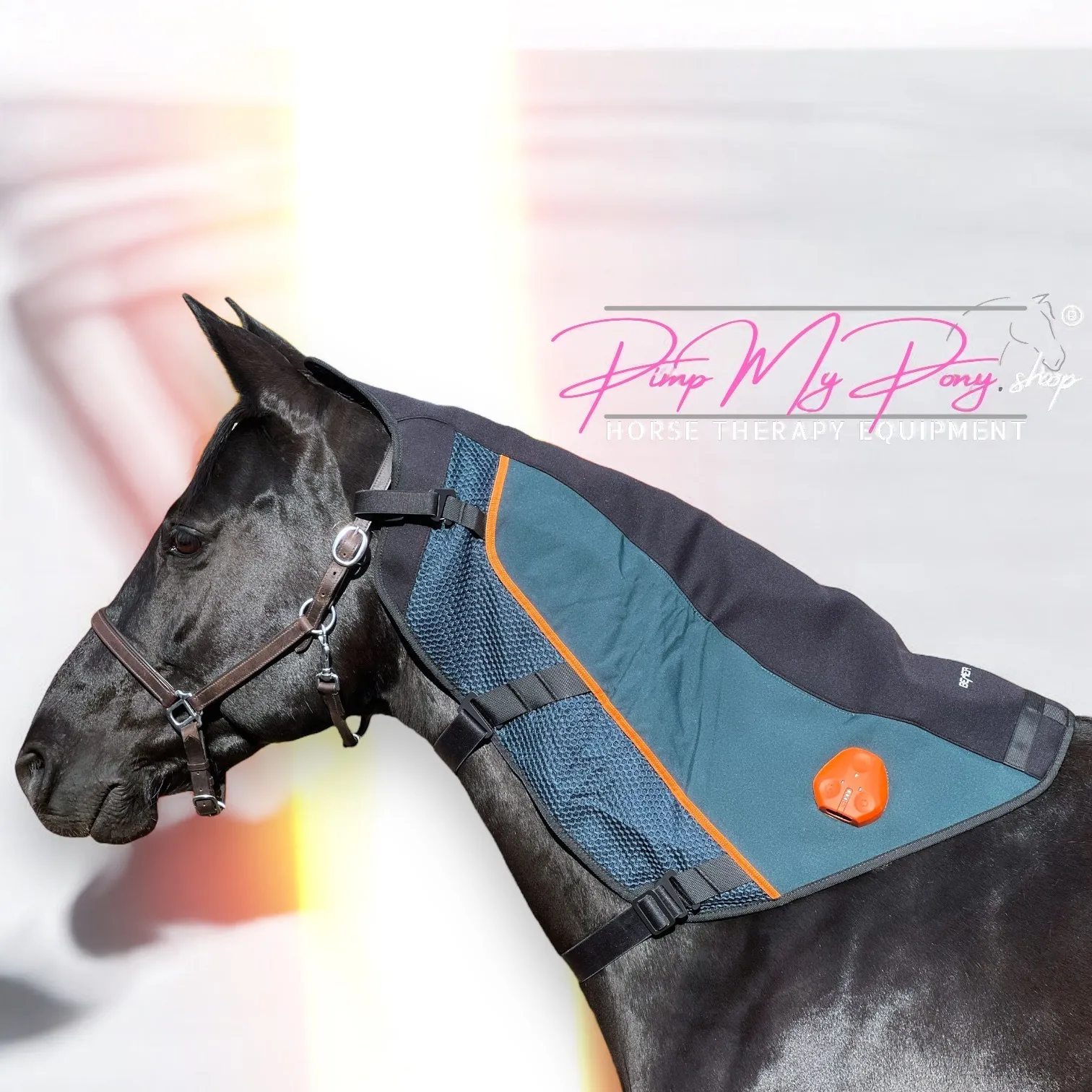 KAUF Demo | BEMER Hals App.