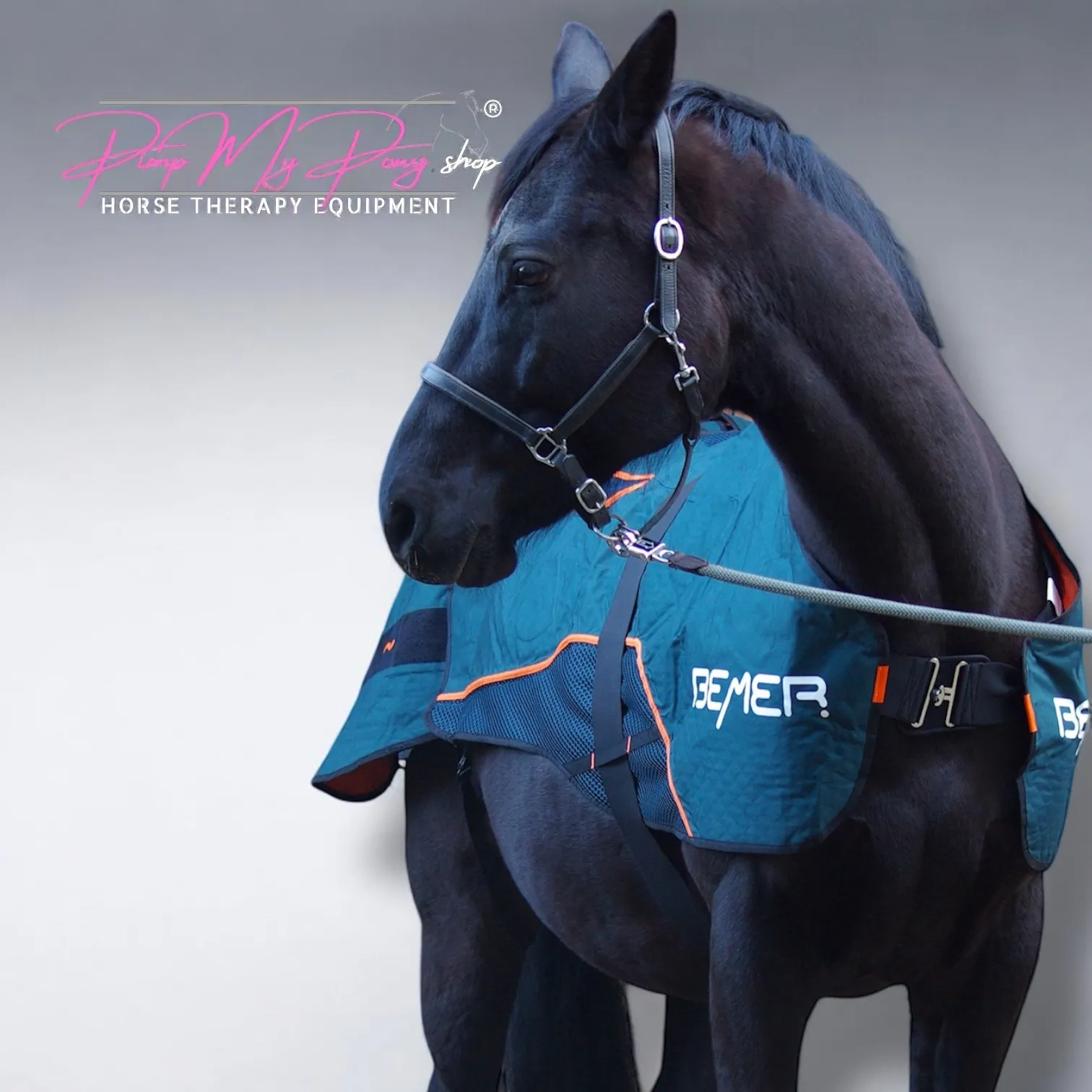 KAUF 2. Wahl | Decke