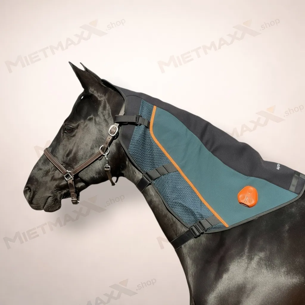 [PRE-OWNED] BEMER Halsteil