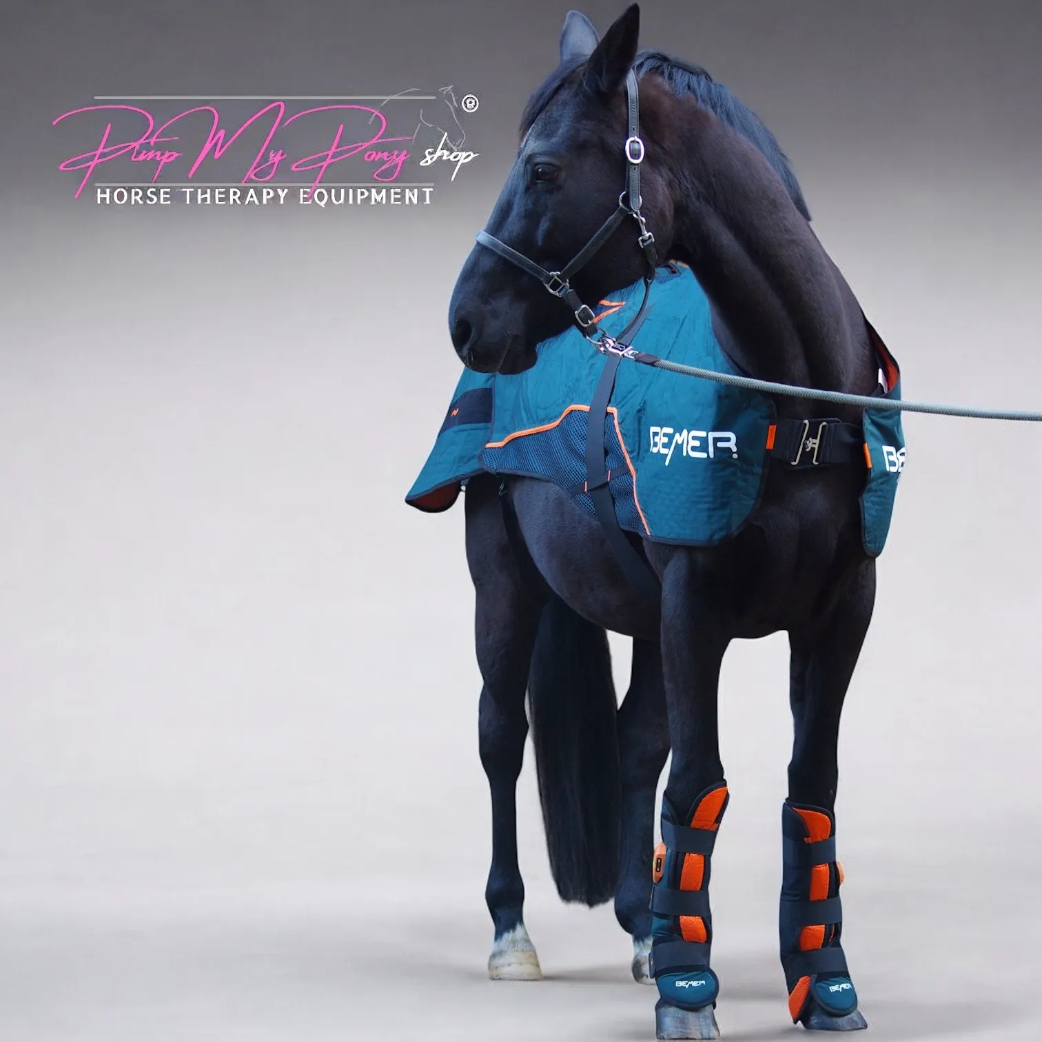 KAUF Demo | BEMER SET