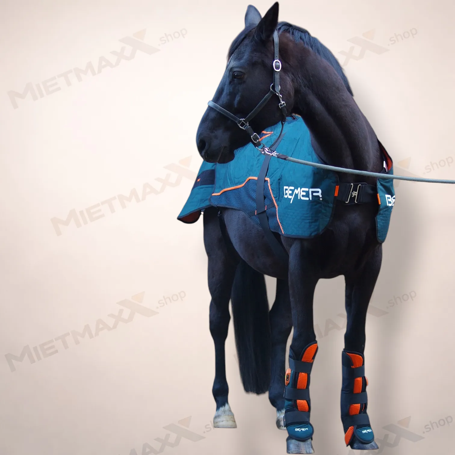 [PRE-OWNED]  BEMER Set