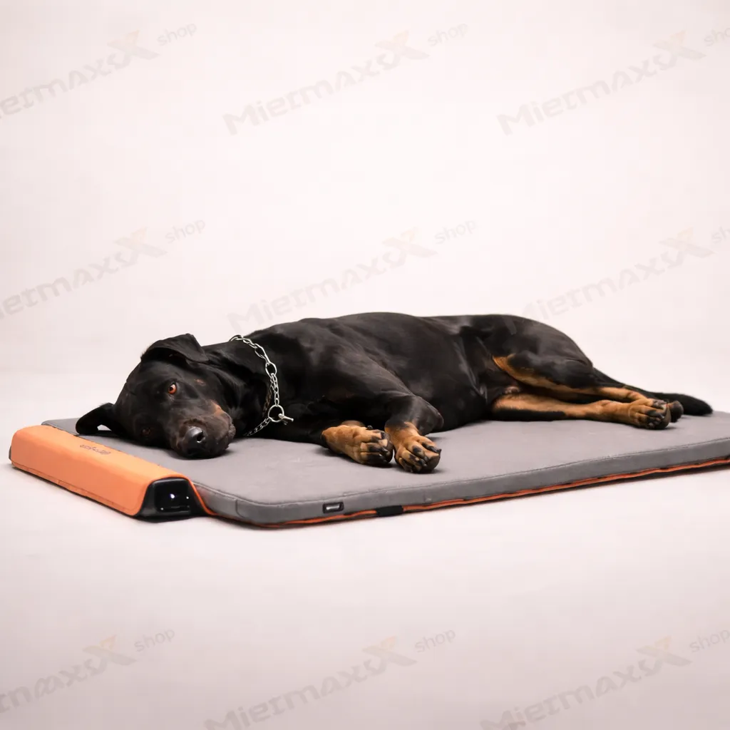 [MIETE] BEMER Dog Comfort max