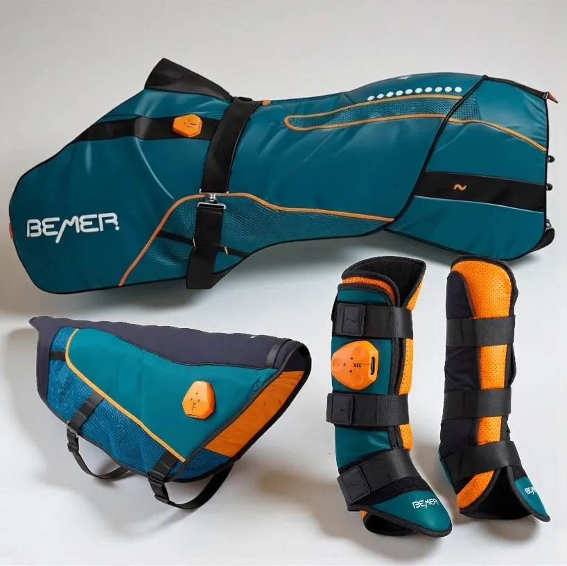 KAUF Demo | BEMER PREMIUM