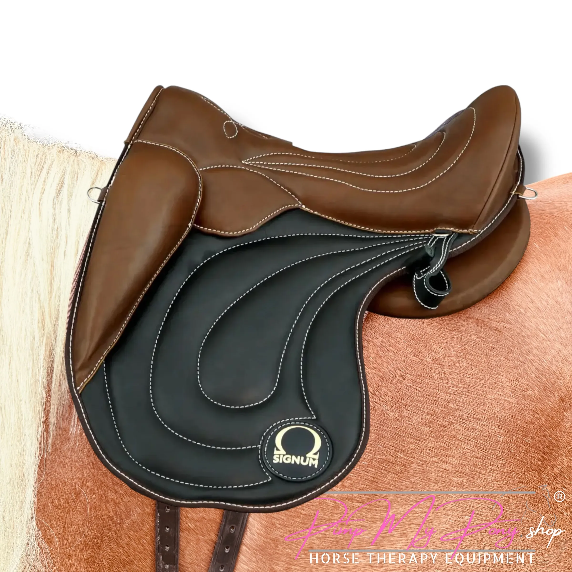 SIGNUM Glattleder Paddle (M/L)