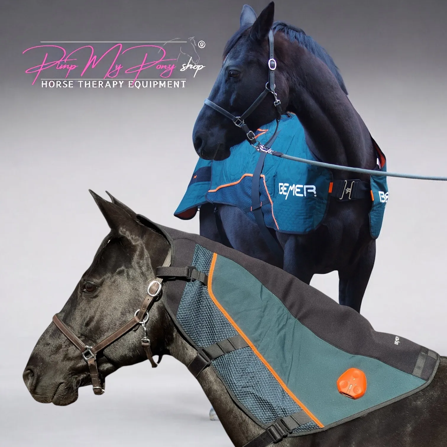 KAUF 1. Wahl | Decke + Hals