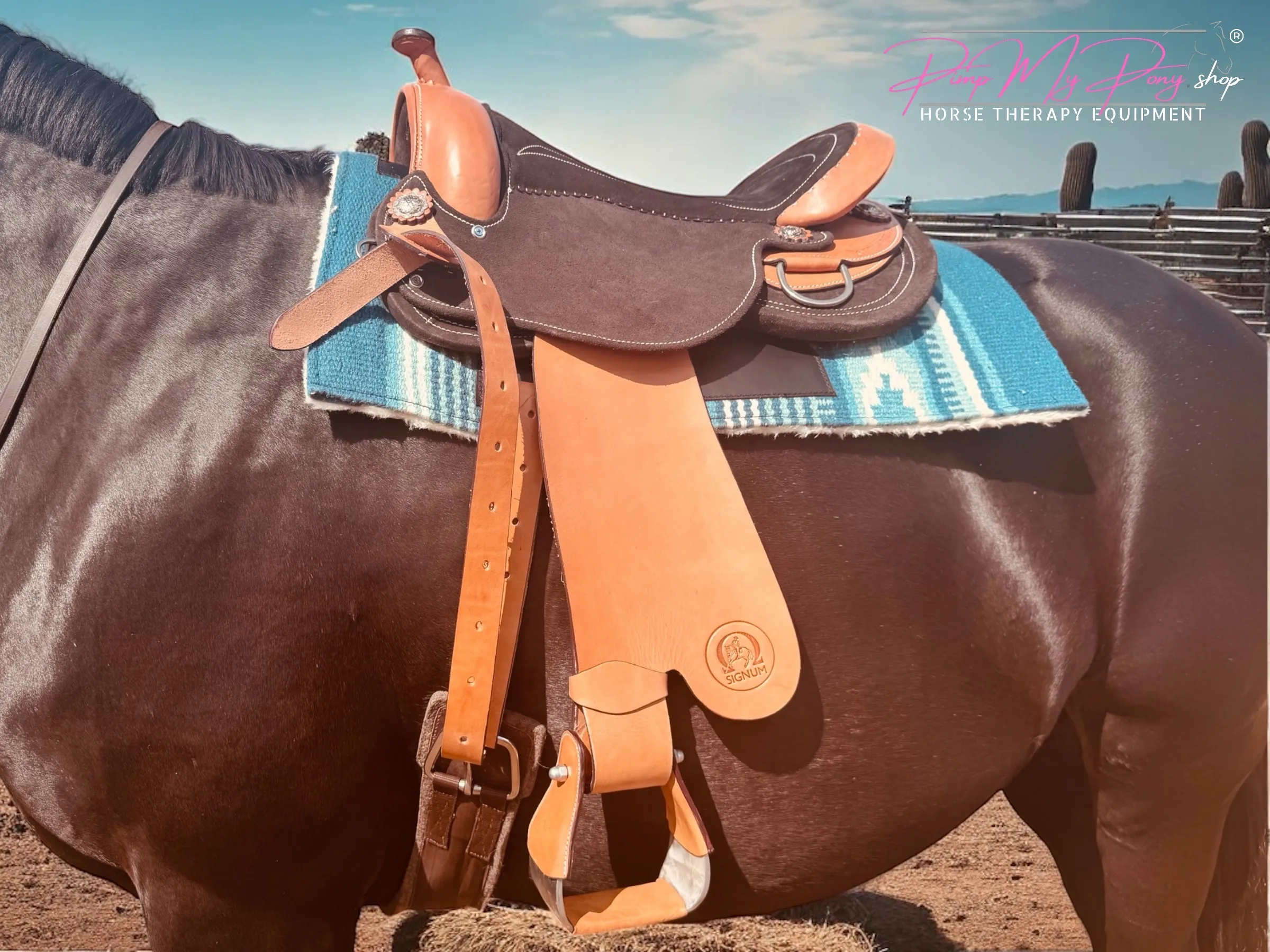 Western Paddle + Polster (M/L)