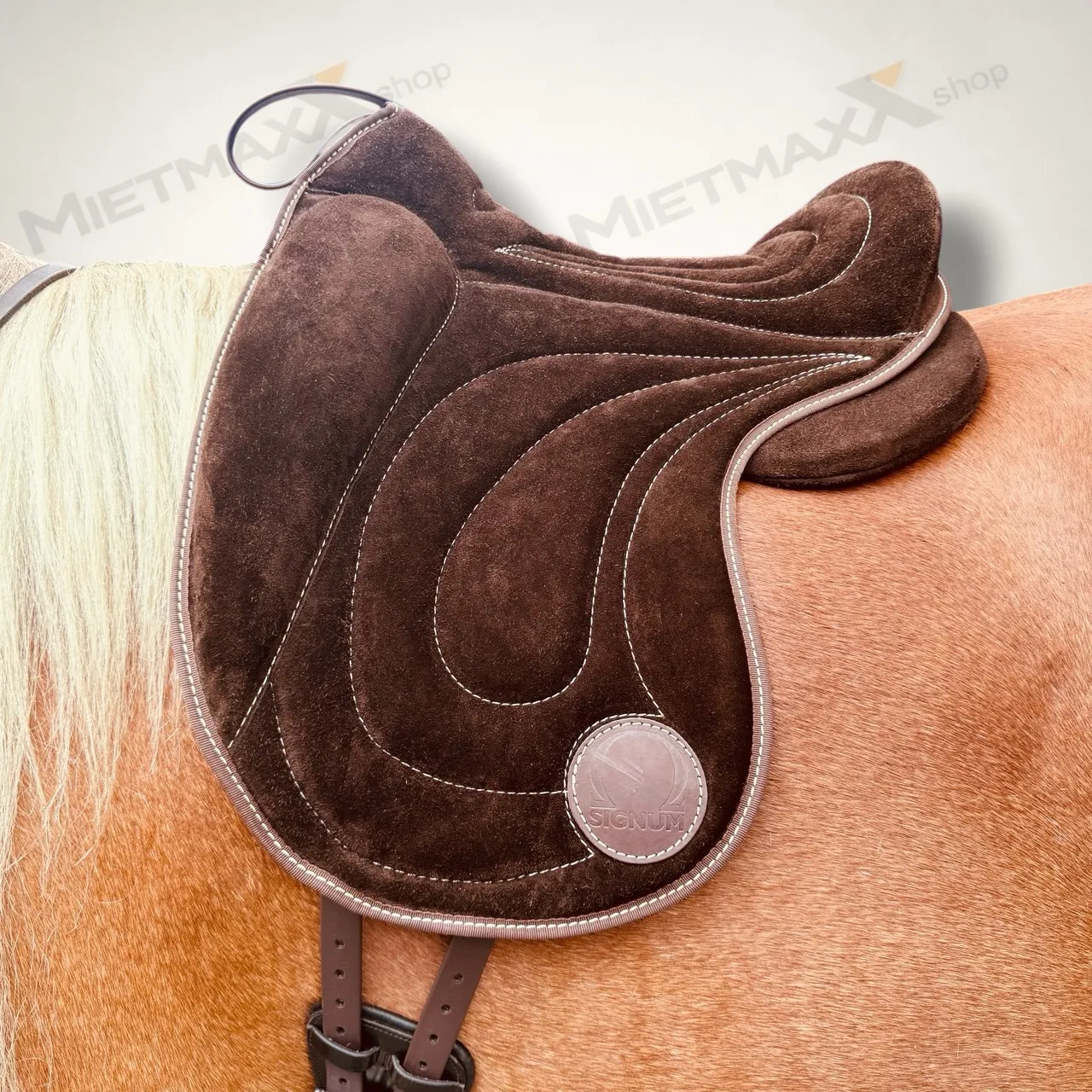 [MIETE] SIGNUM PAD Dressage (Gr. M-L)