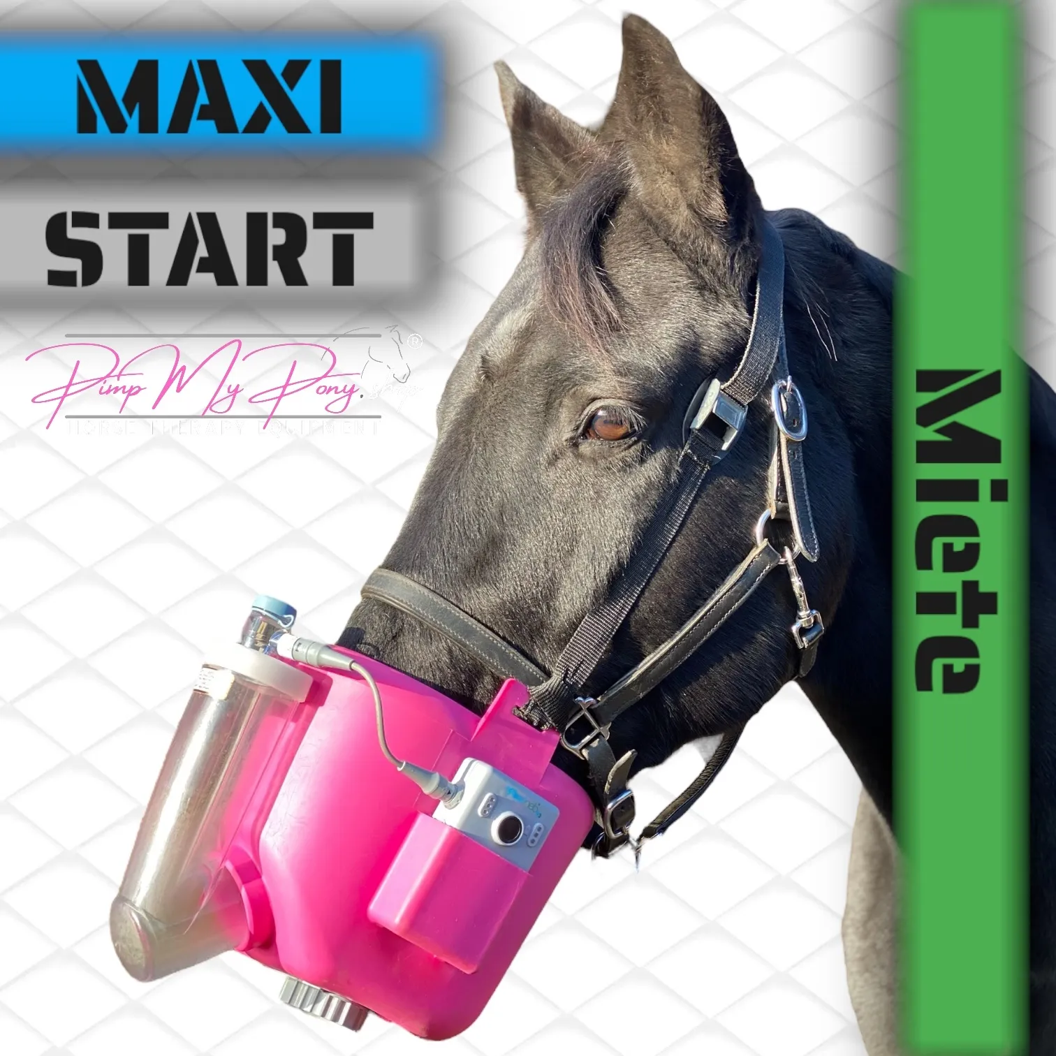 MIETE | FlexiNeb MAXI Starter