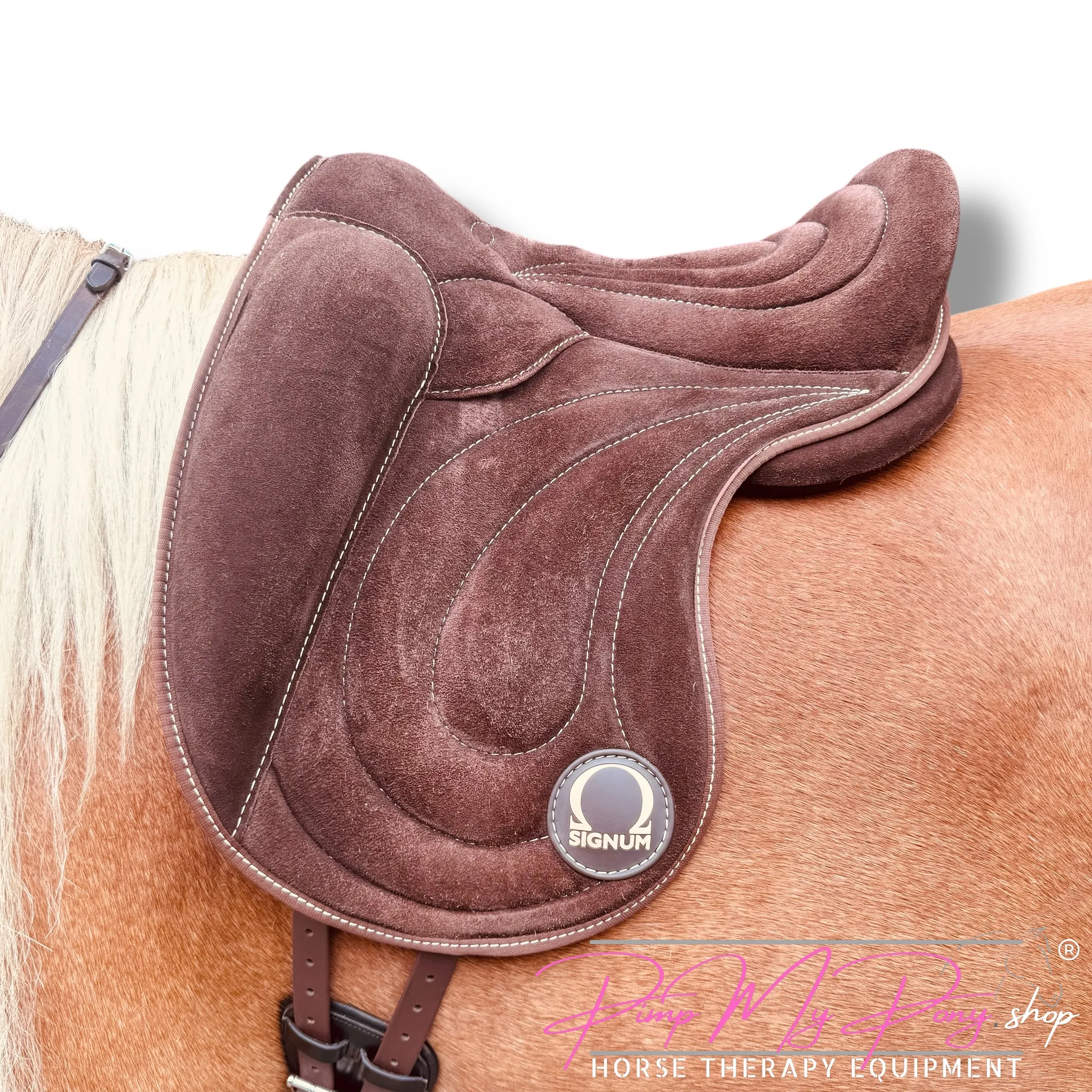 SIGNUM Original Paddle (S-L)