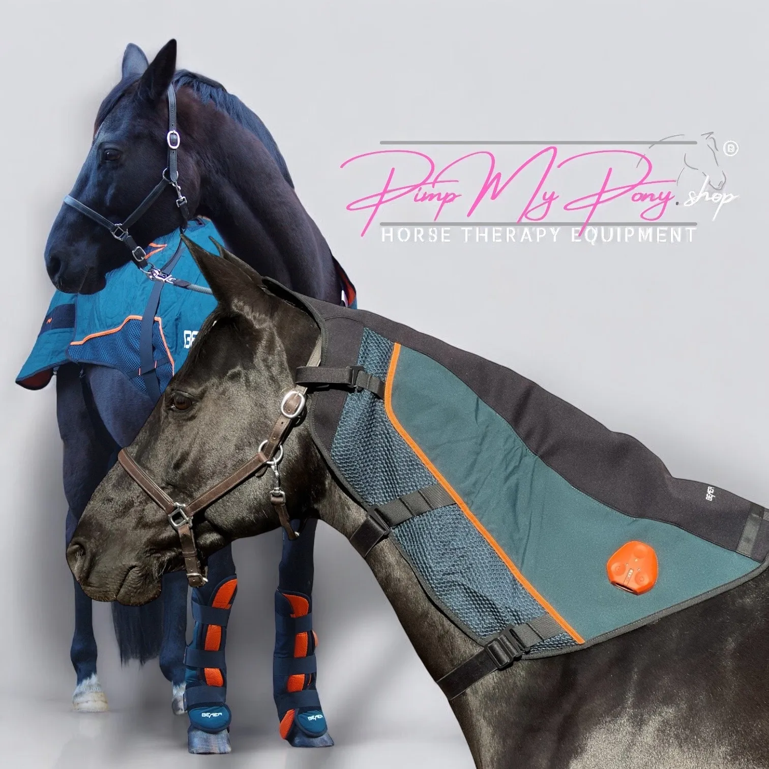 KAUF 1. Wahl | Decke + Hals + 2G