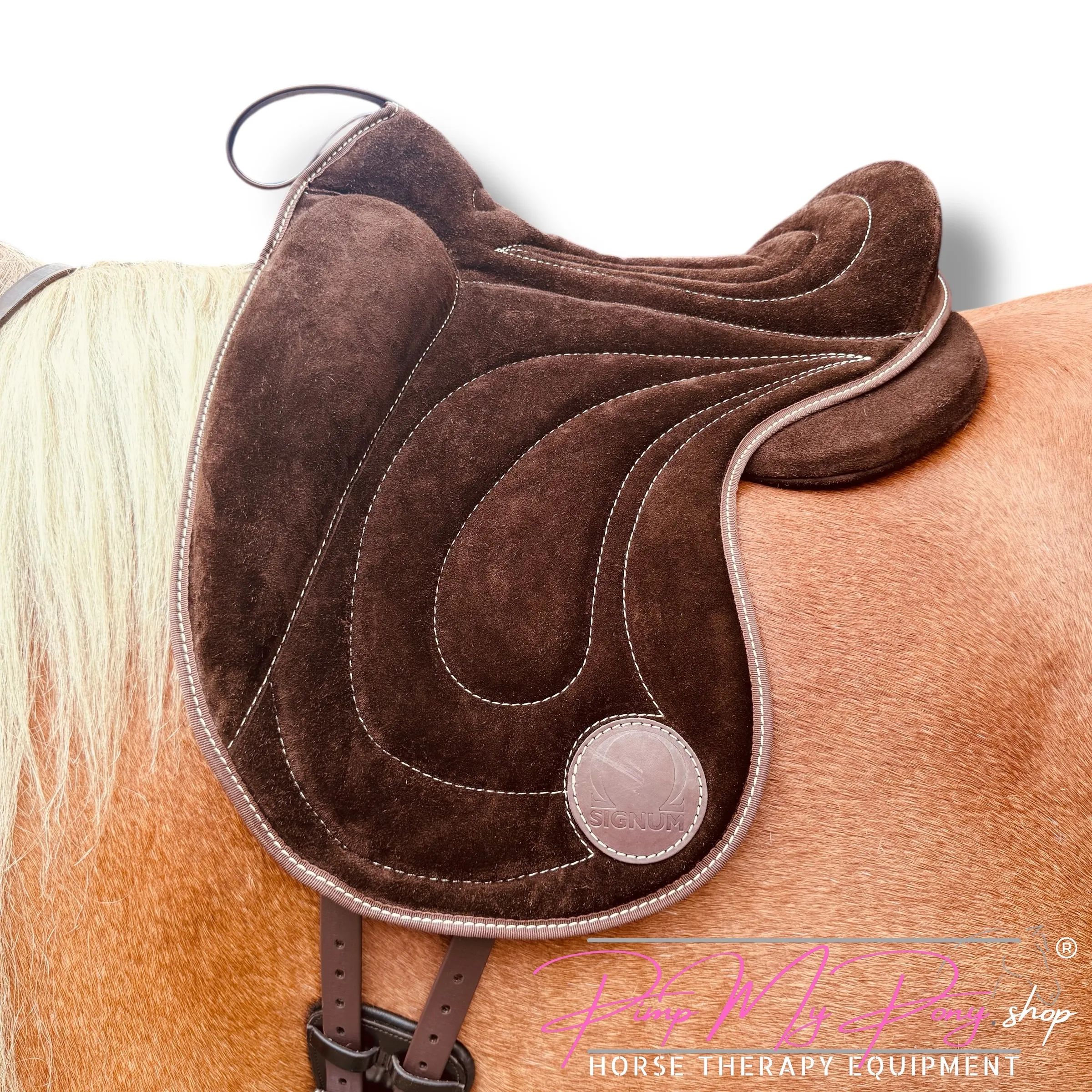 Signum Pad Dressage (M/L)