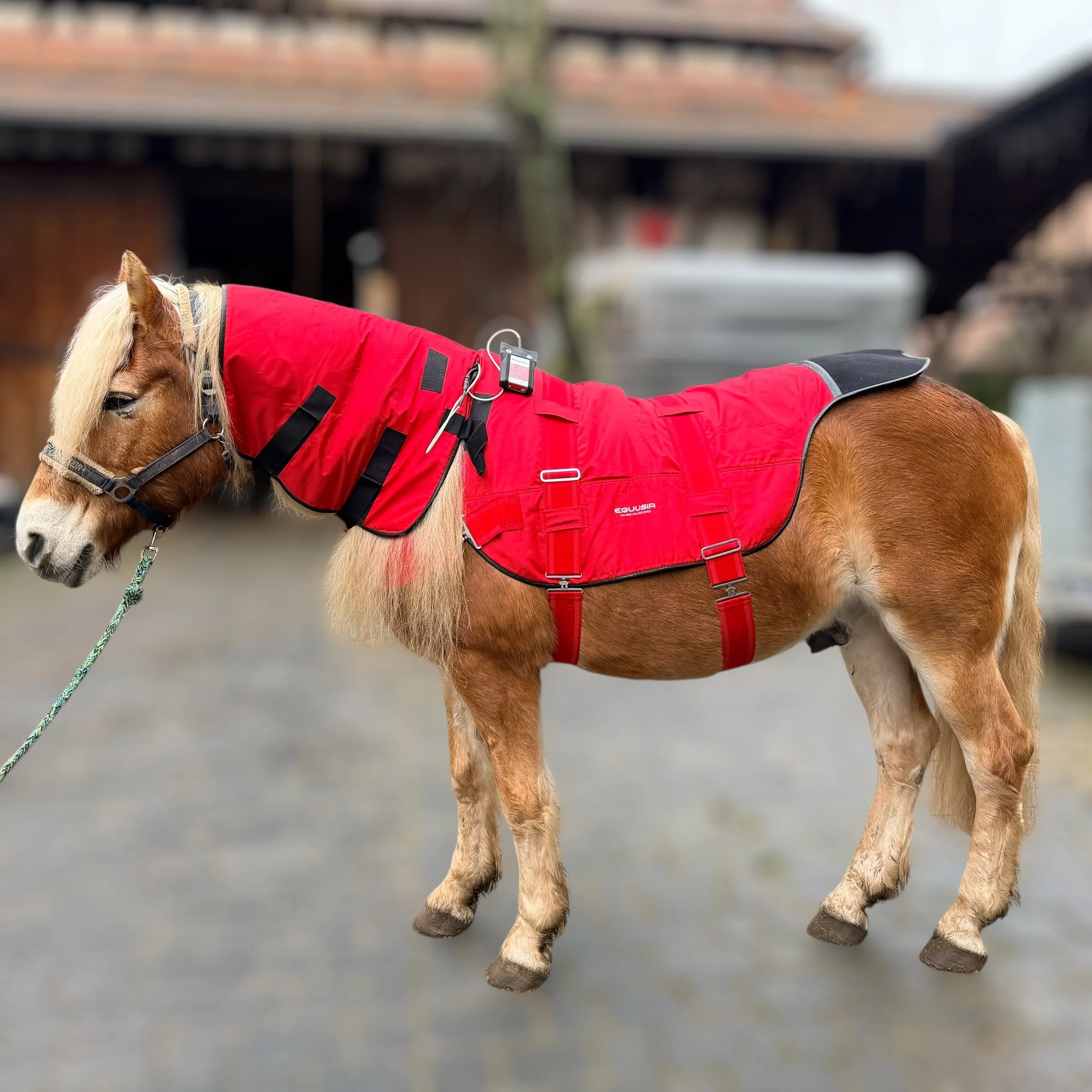SALE | Equusir Bios 1.0 Decke + Halsteil