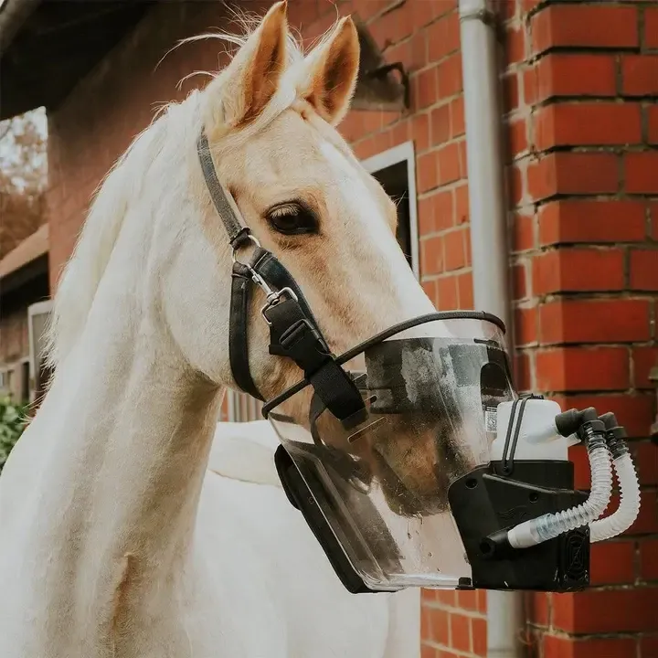 [MIETE] Equosonic Free Inhalator
