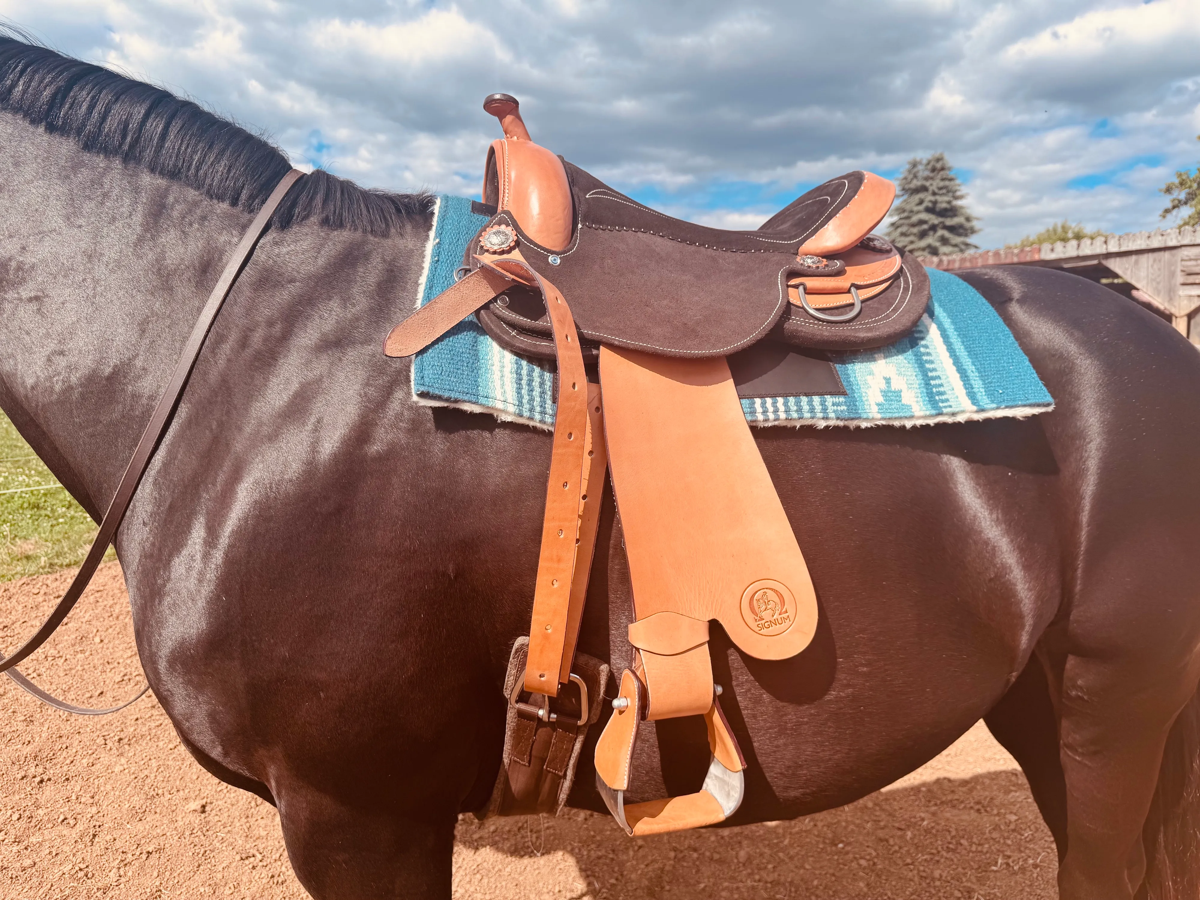 SIGNUM Western Paddle (M-L)