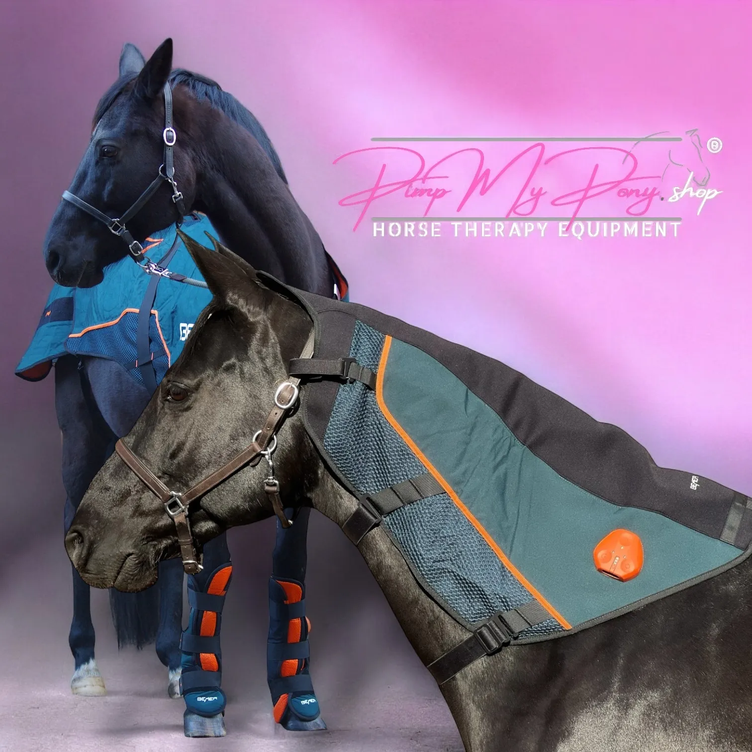 KAUF Demo | BEMER PREMIUM