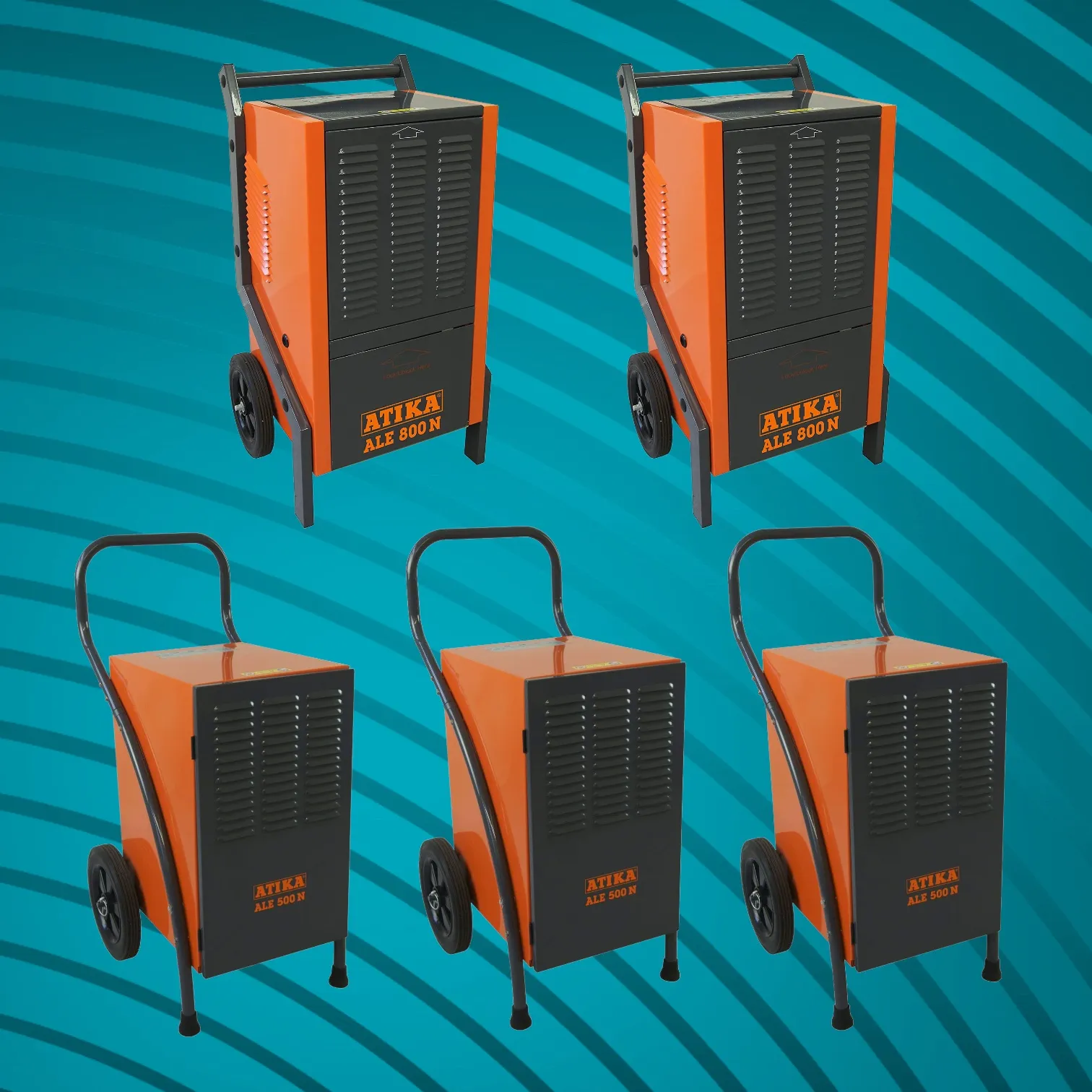 SET Liselotte (-7,5%)