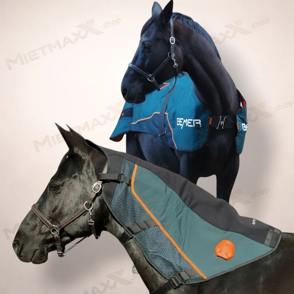 [PRE-OWNED]  BEMER Duo