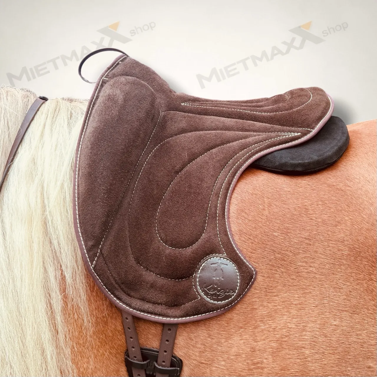 [MIETE] SIGNUM PAD Kenzie Dysli Freedom