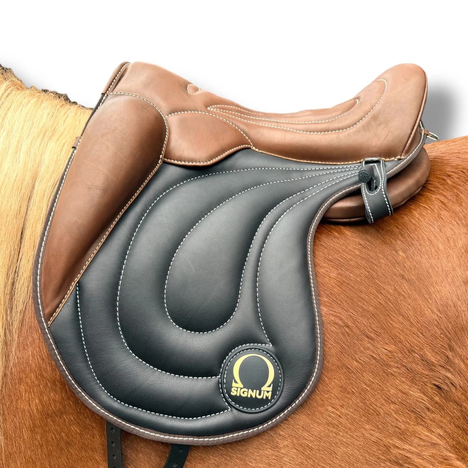 SIGNUM Glattleder Paddle (S-L)