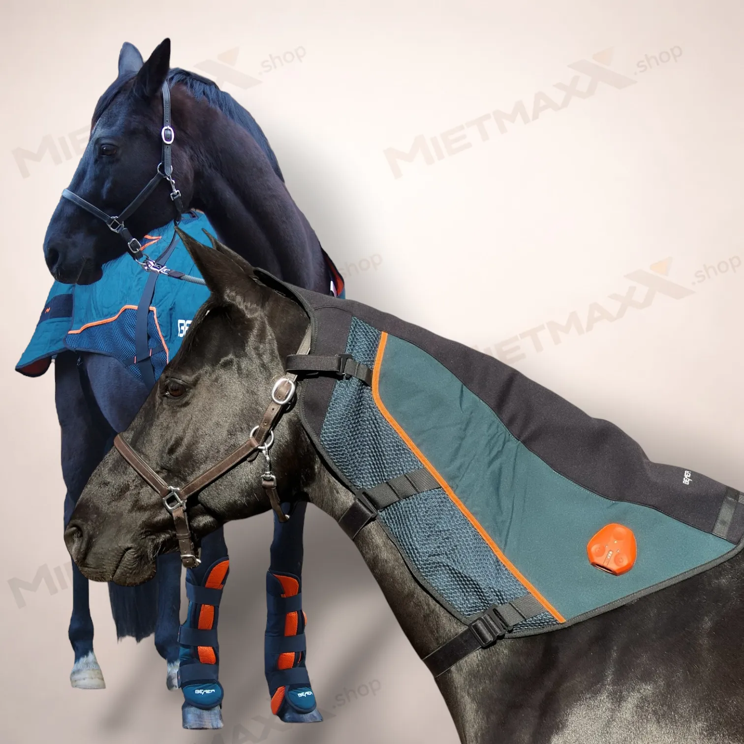 [PRE-OWNED]  BEMER Premium