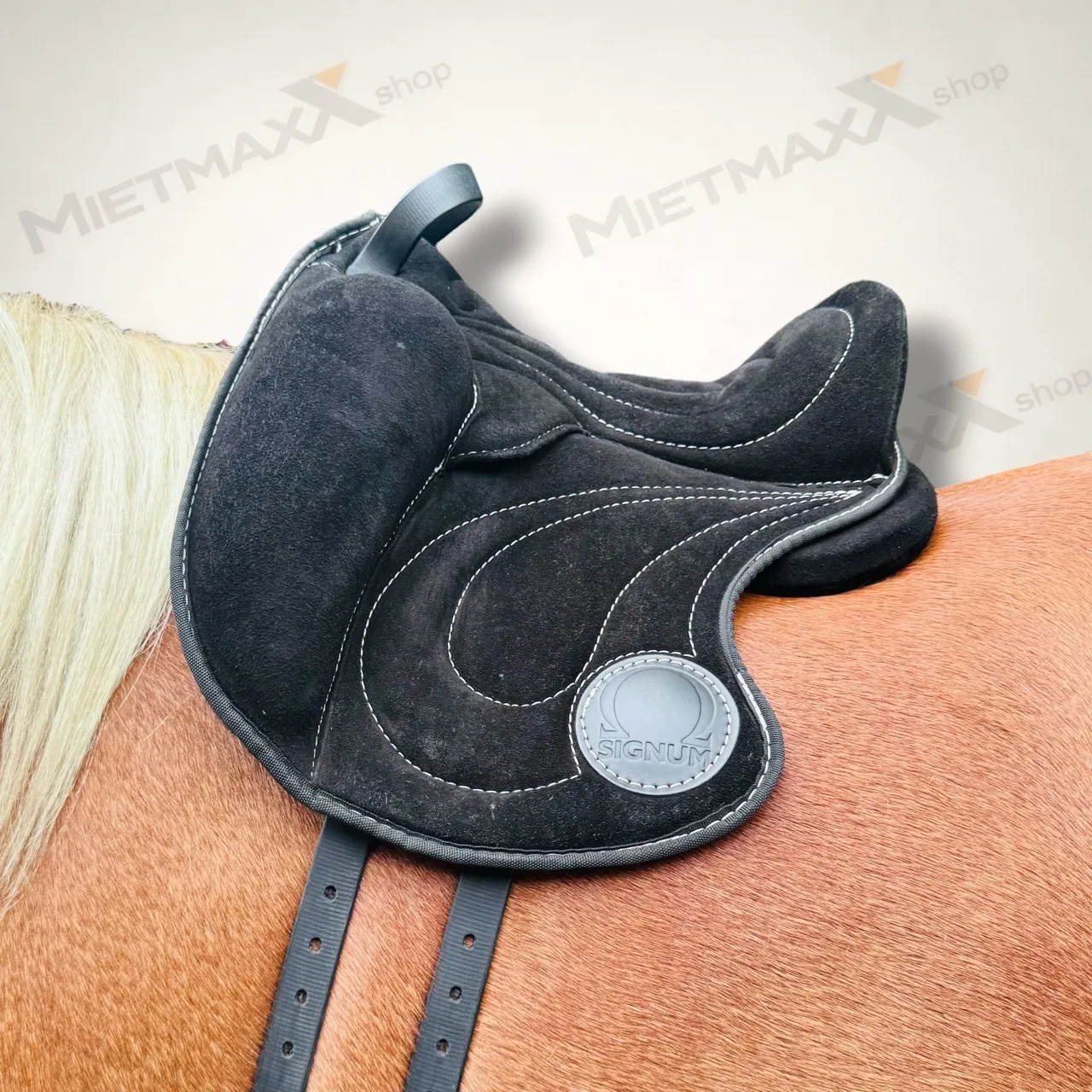 [MIETE] SIGNUM PADDLY (Kids)
