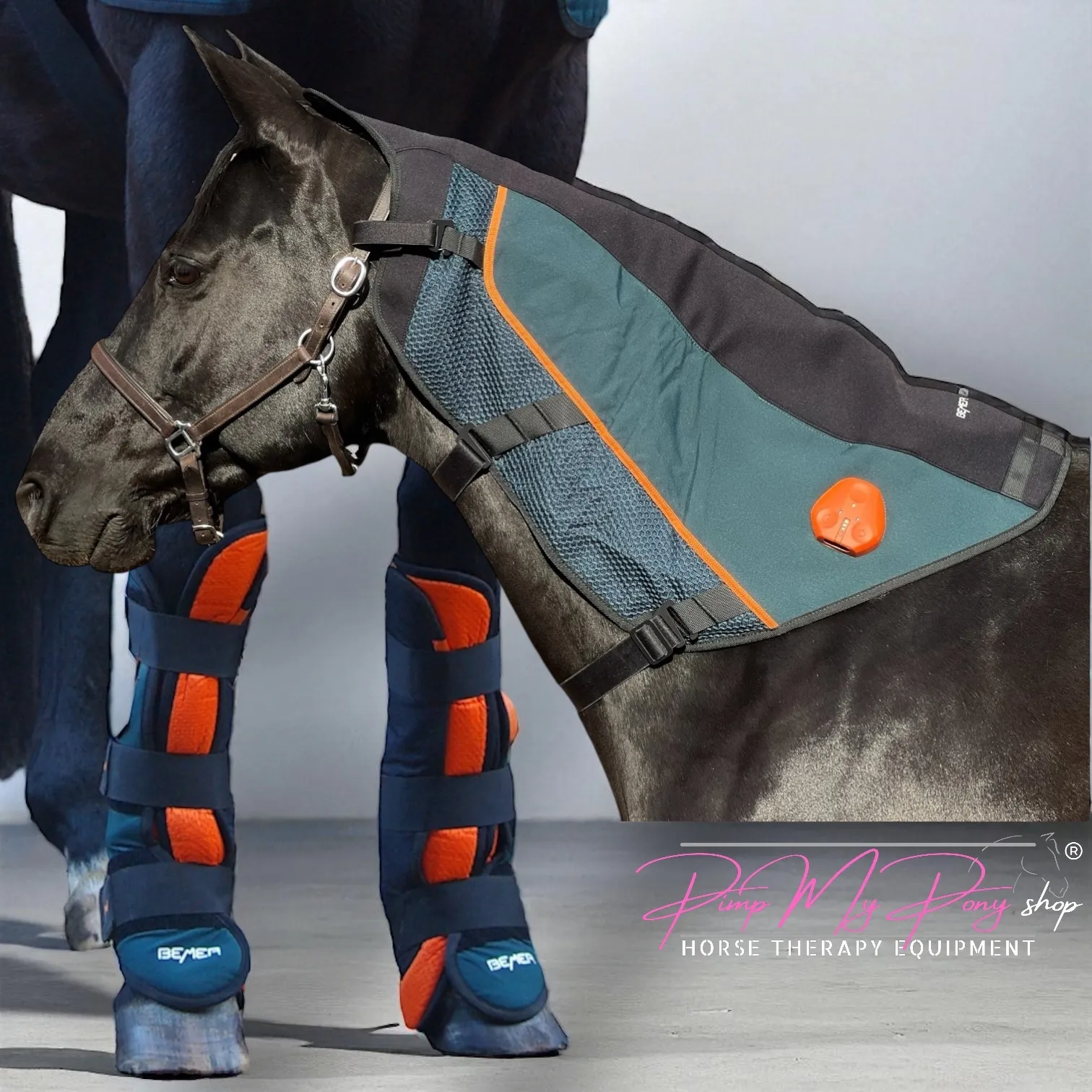 KAUF Demo | BEMER PLUS