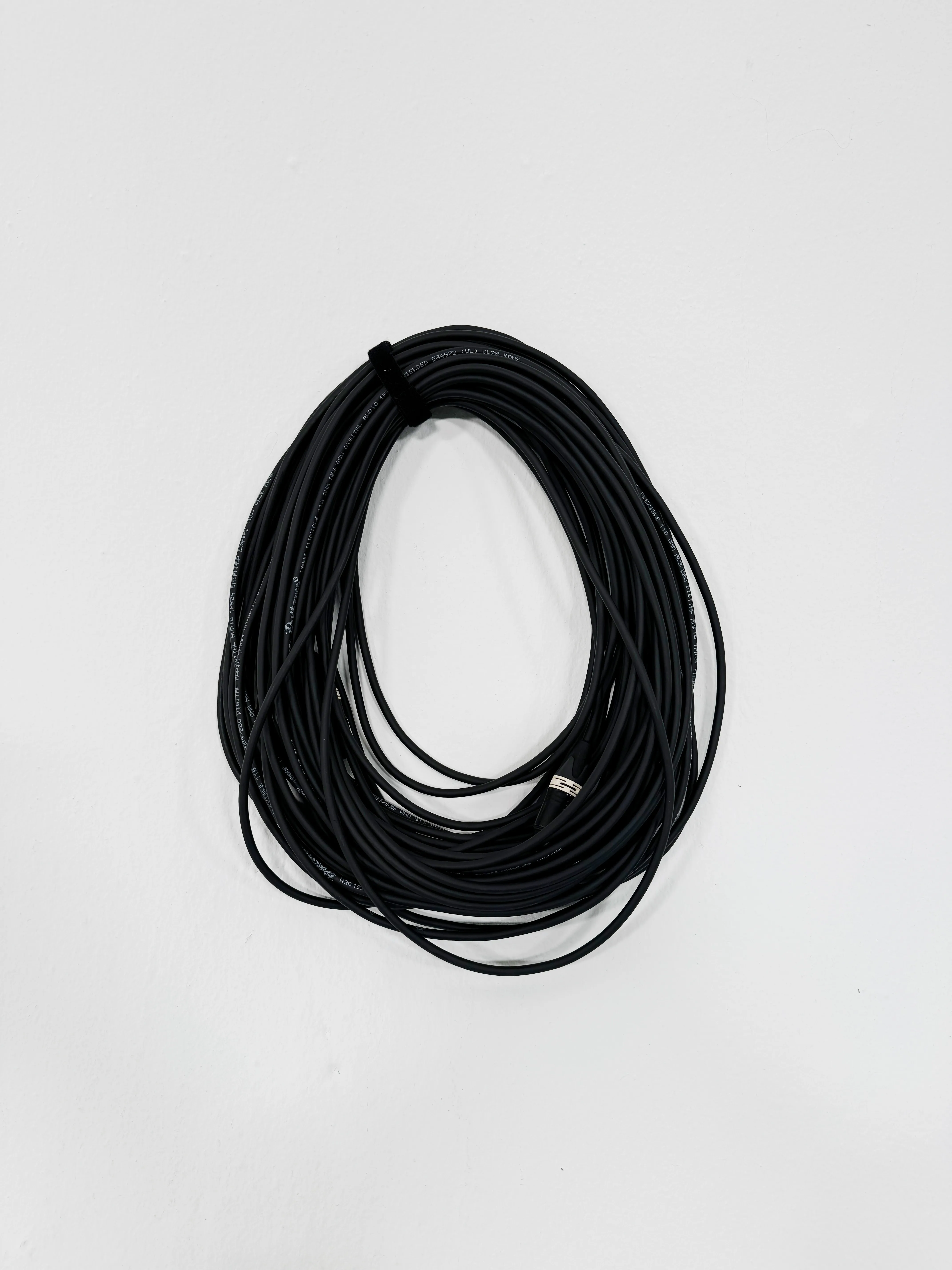 100ft XLR Audio Cables