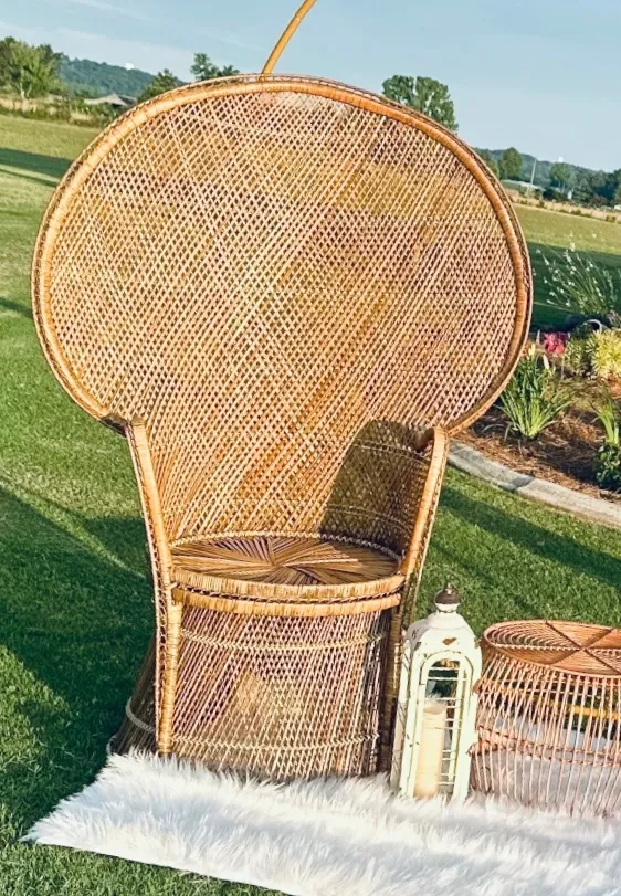 Rattan Peacock Chair