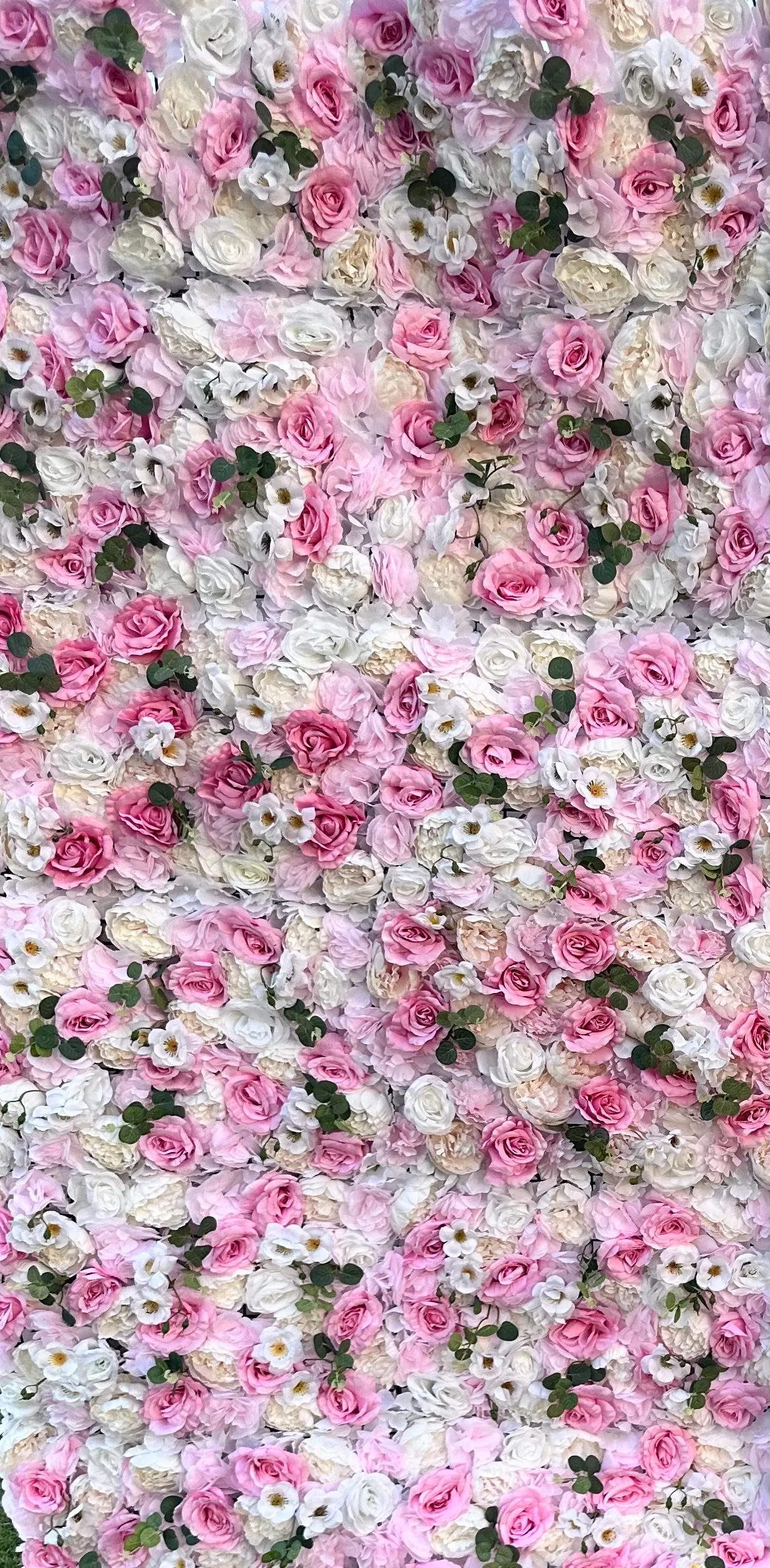 Blushing Rose Wall