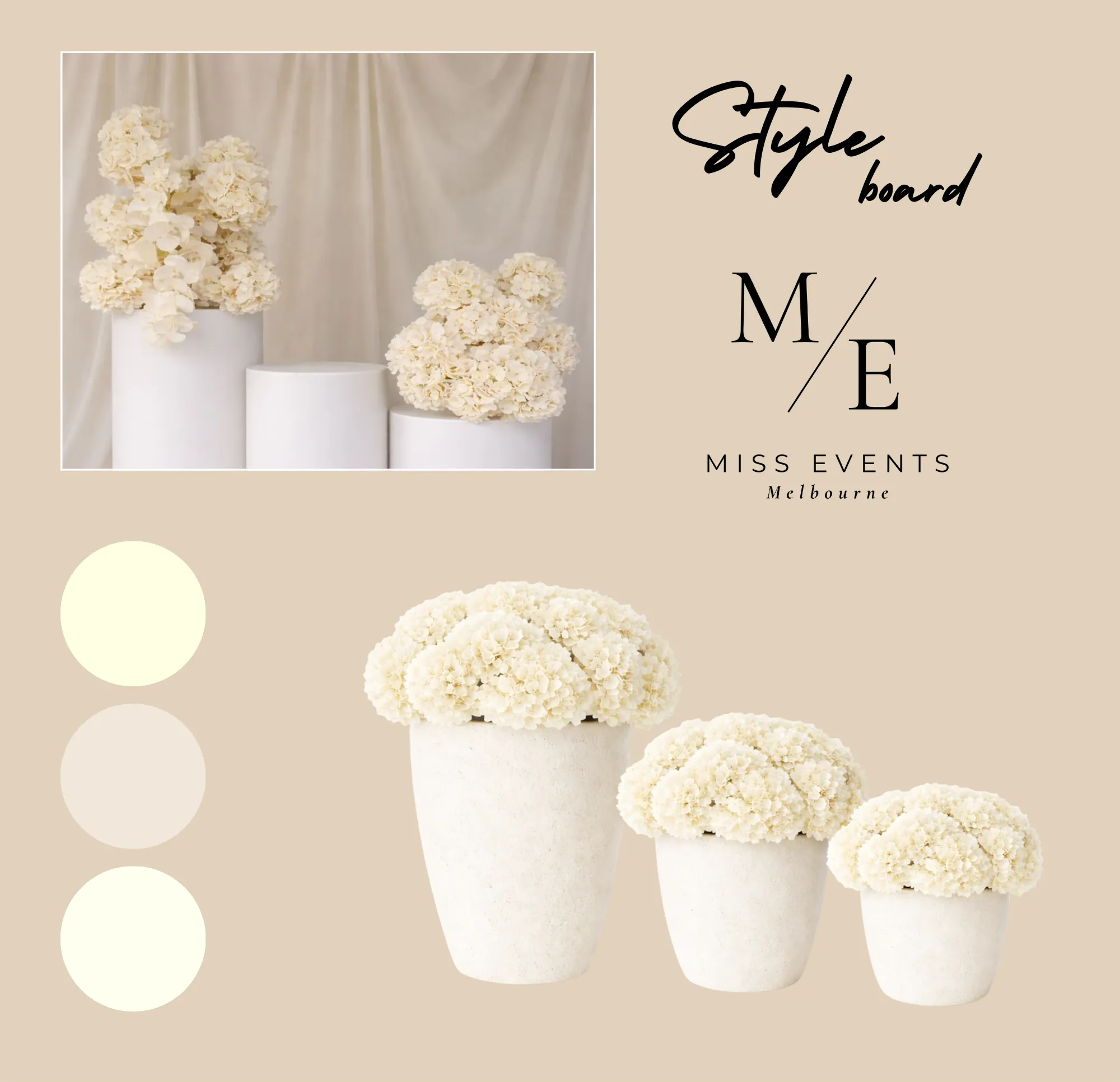 Styled Bloom & Pot Package