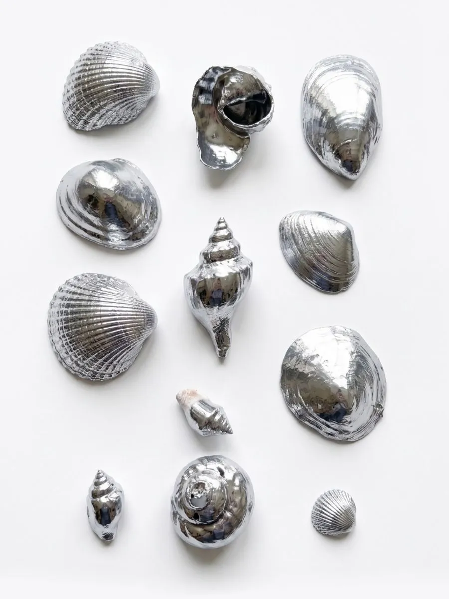 Chrome Shells