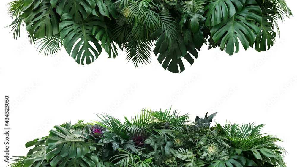 Backdrop Arrangement Leaves - Green