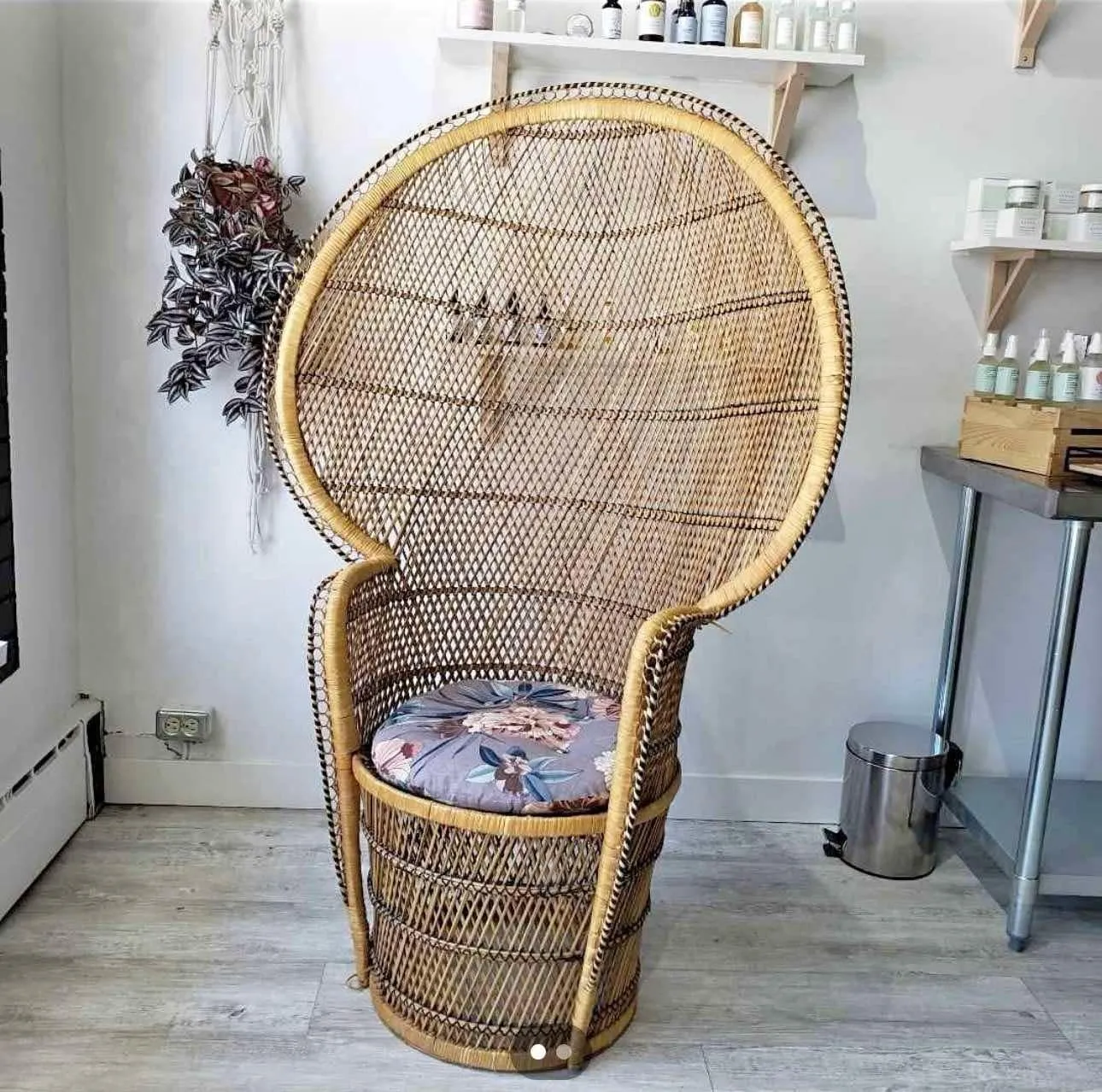 Peacock Chair 