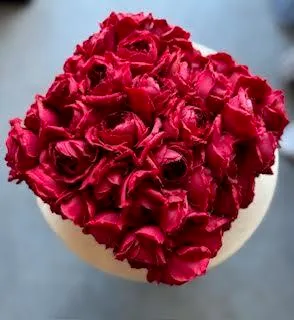 Red Rosette Ring Bearer Pillow