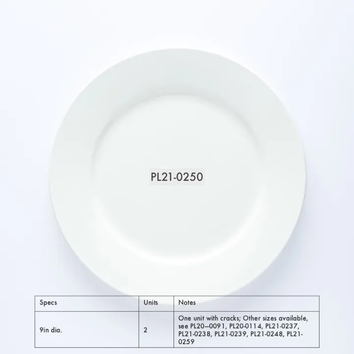 PL21-0250 - White Ceramic Plate - 9" (D)