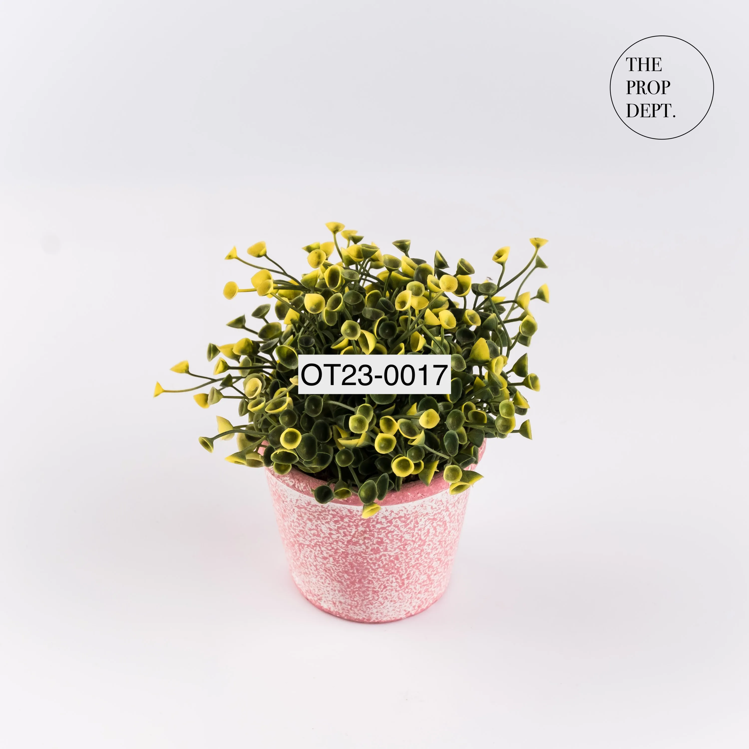 OT23-0017 - Plastic Plant - 5.5" (H)