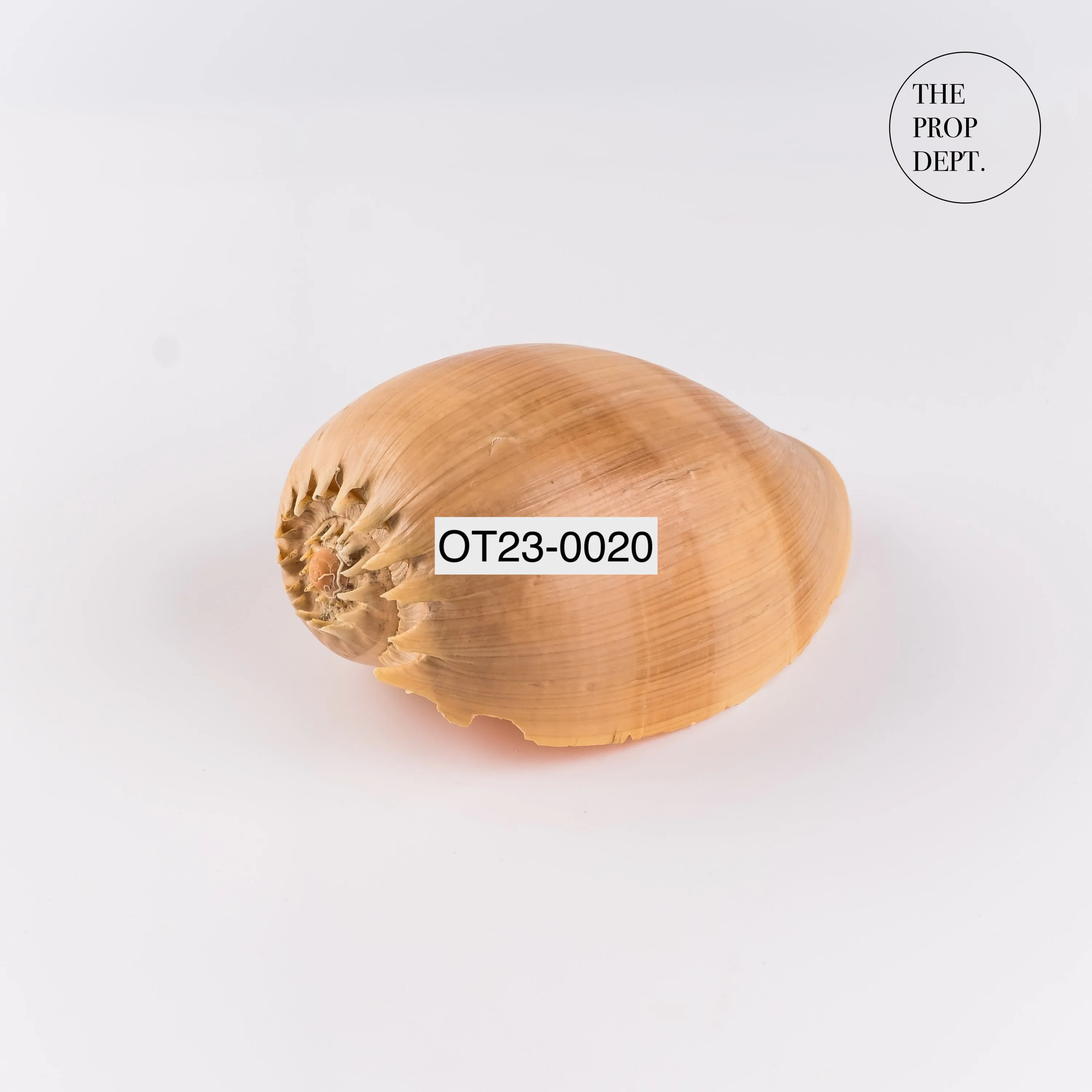 OT23-0020 - Shell