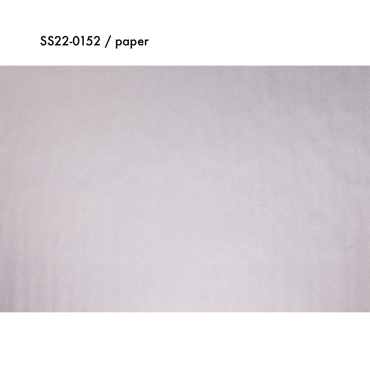 SS22-0152 - Purple Paper Surface - 51.25" 30.75" (LW)
