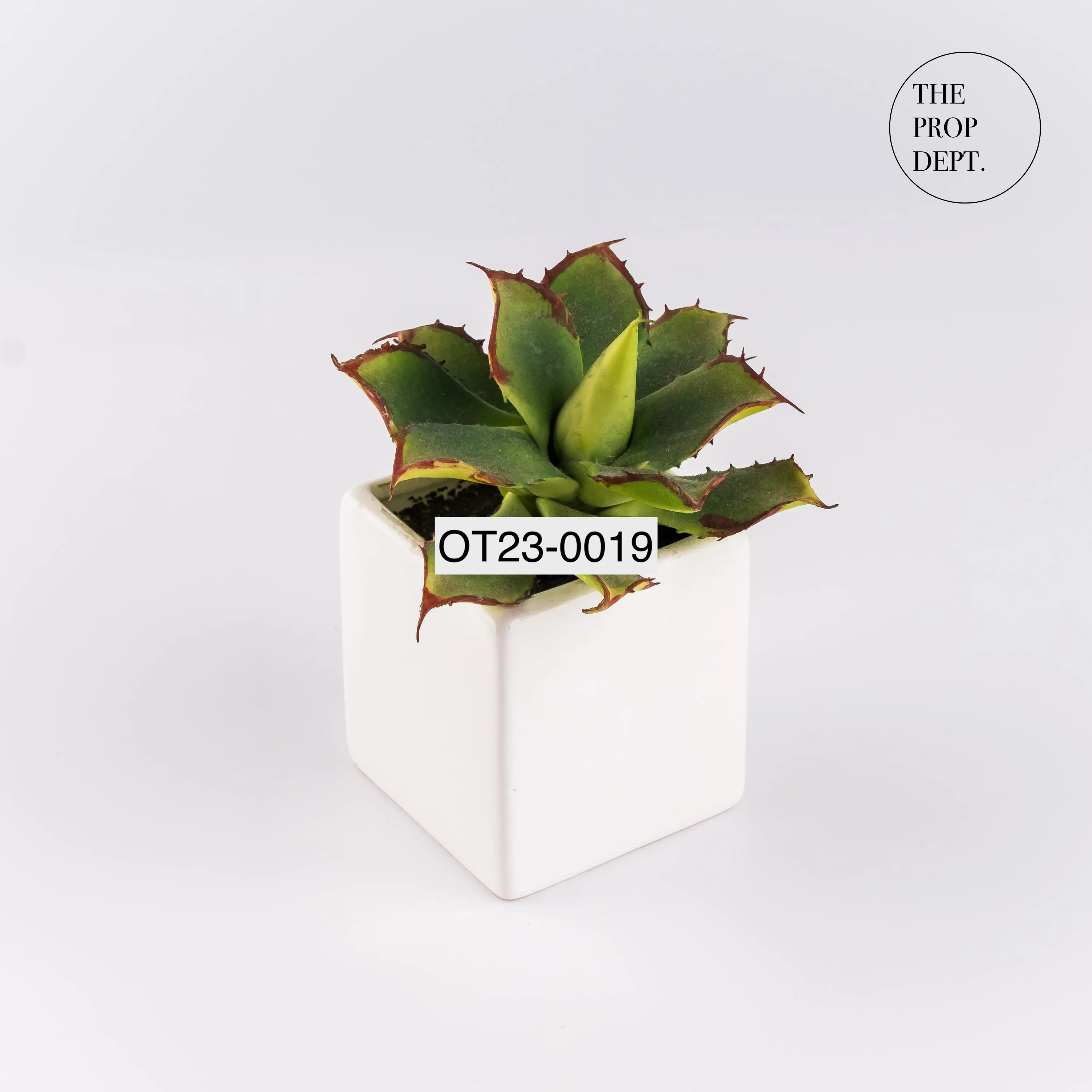 OT23-0019 - Plastic Plant - 5.5" (H)