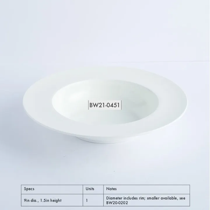 BW21-0451 - White Ceramic Bowl - 9" 1.5" (DH)