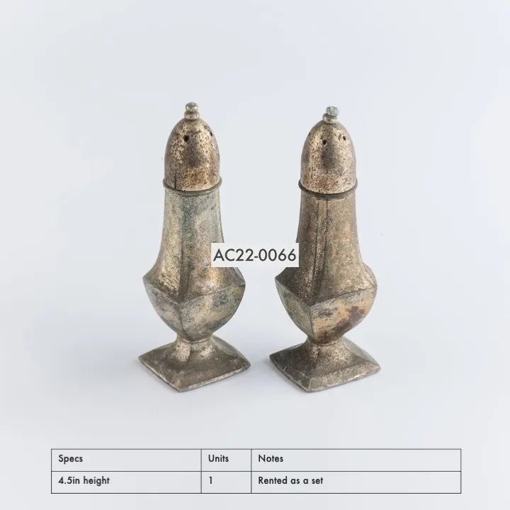 AC22-0066 - Silver Metal Salt and Pepper Shakers - 4.5" (H)